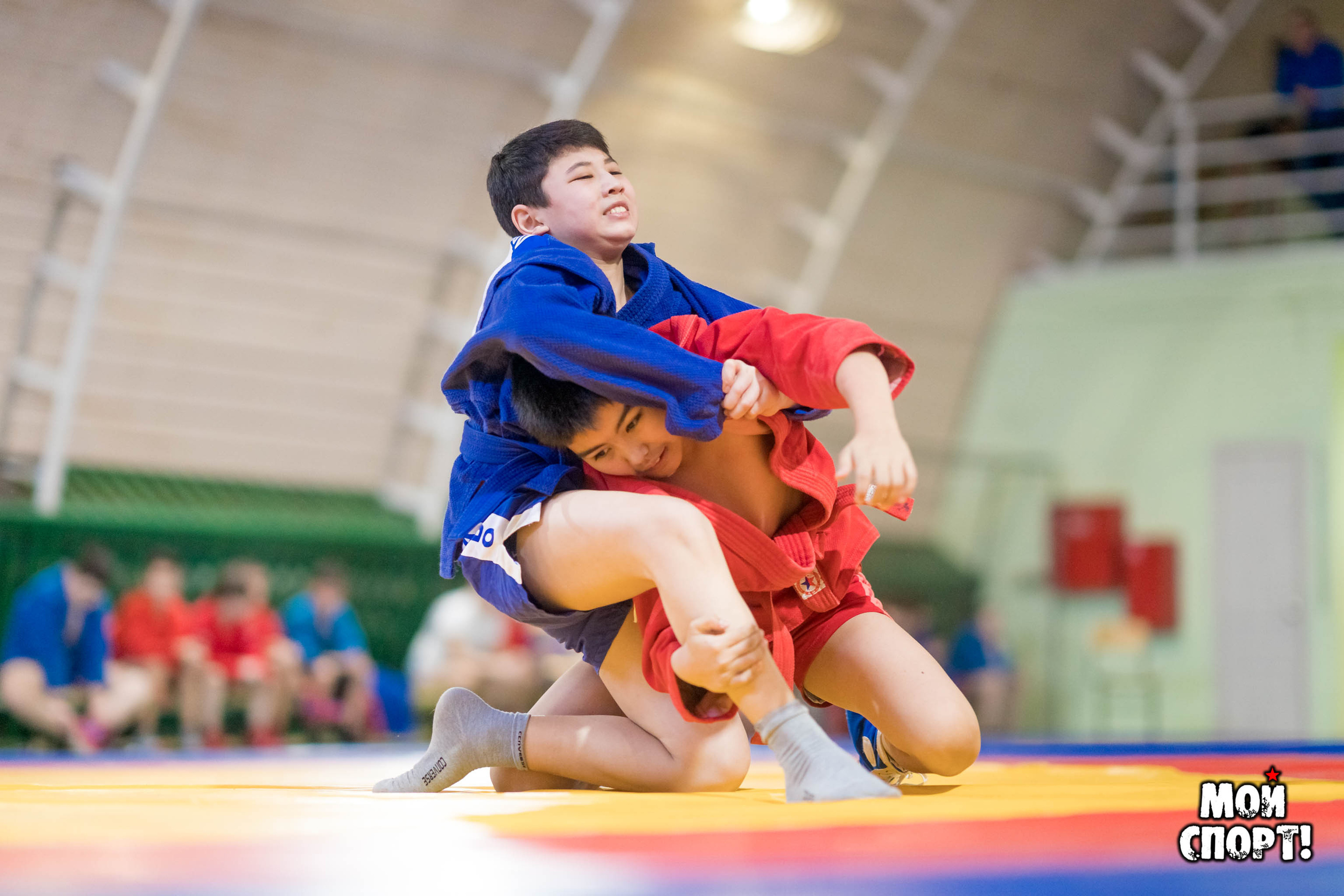 Открытое первенство г. Якутска по Самбо среди юношей и девушек. Студия «Мой Спорт!» — все о спорте в Якутии