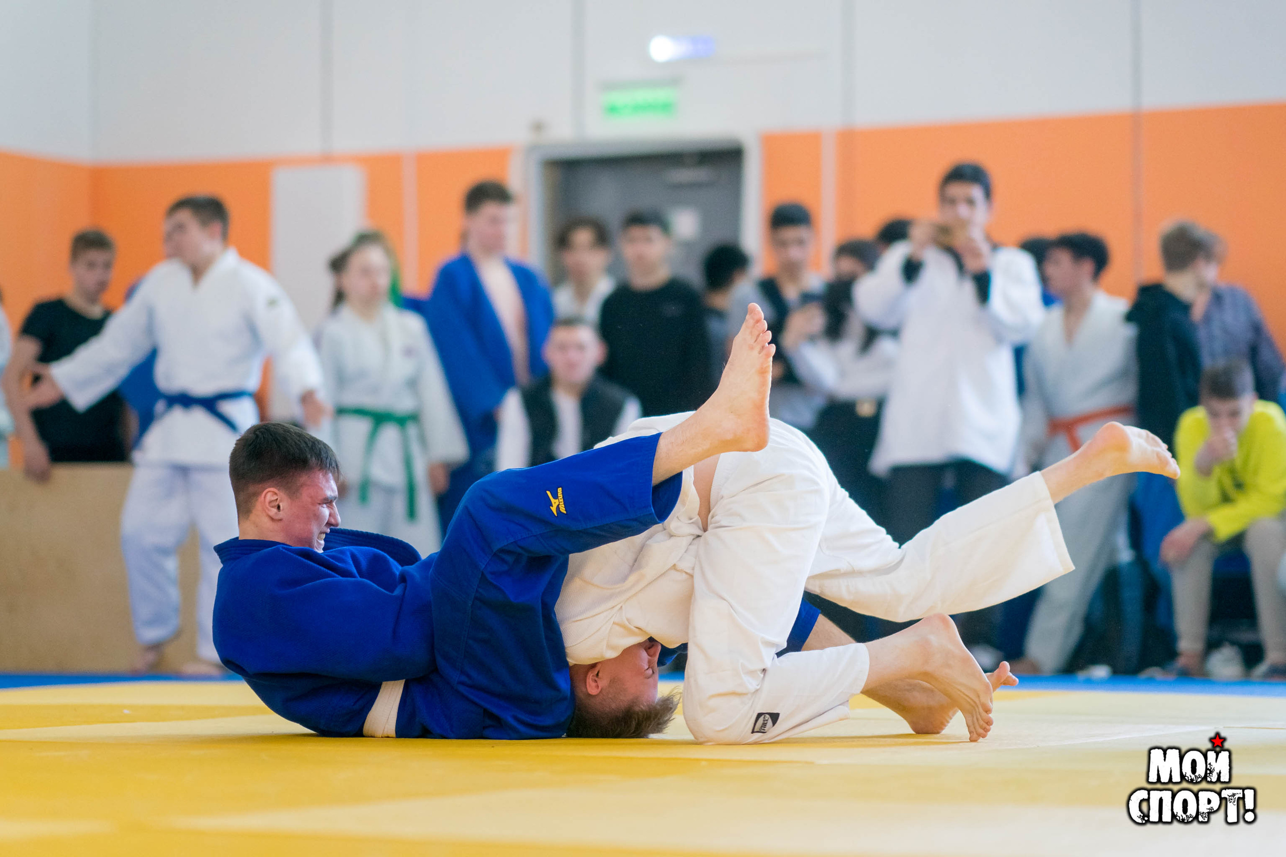 Первенство и Чемпионат РС (Я) по ДЗЮДО. Студия «Мой Спорт!» — все о спорте в Якутии