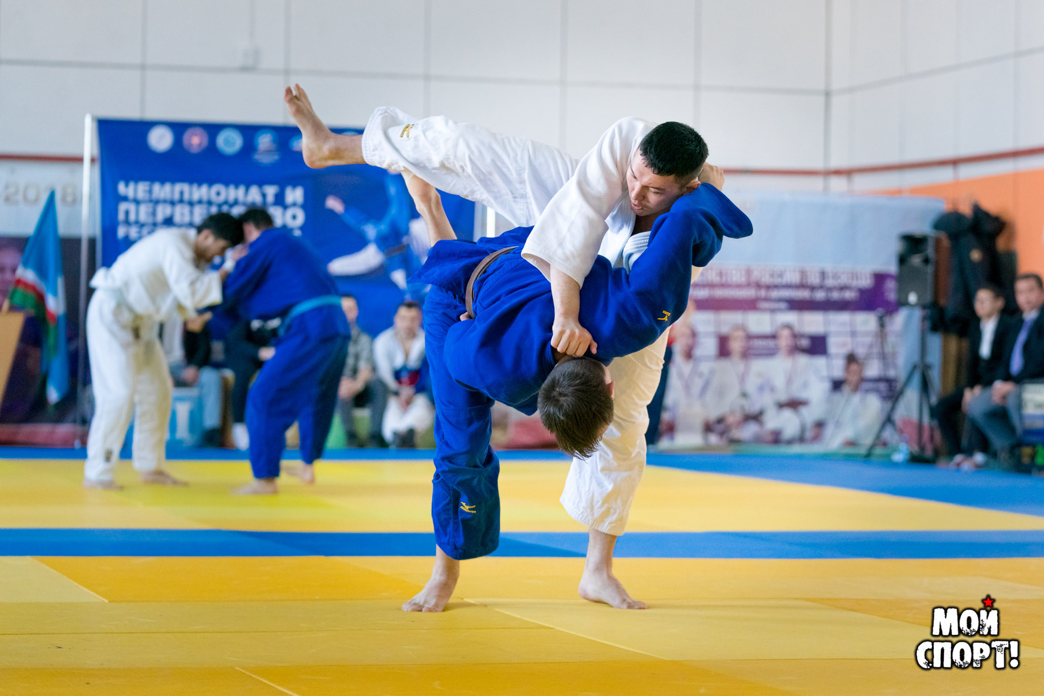 Первенство и Чемпионат РС (Я) по ДЗЮДО. Студия «Мой Спорт!» — все о спорте в Якутии