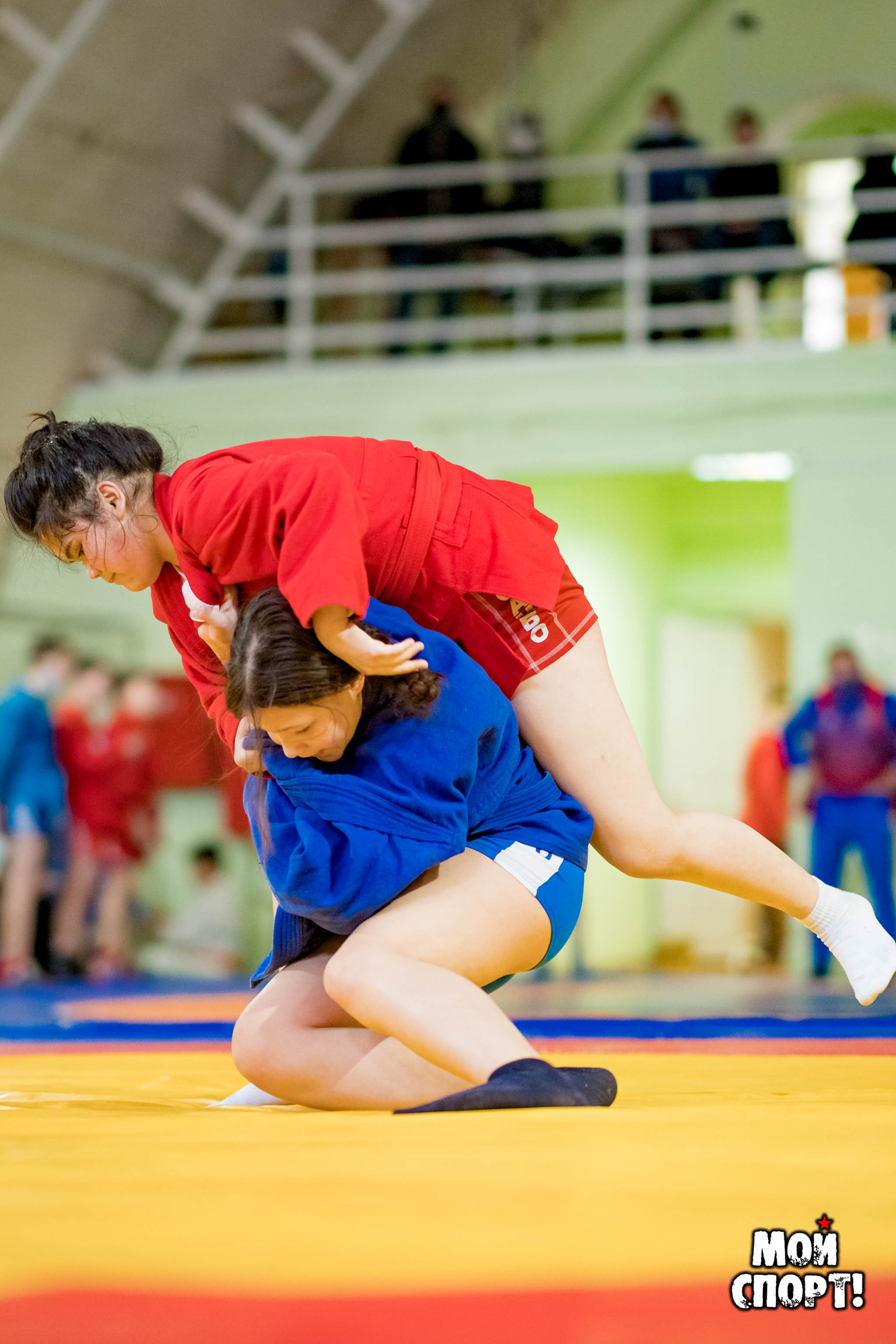 Открытое первенство г. Якутска по Самбо среди юношей и девушек. Студия «Мой Спорт!» — все о спорте в Якутии