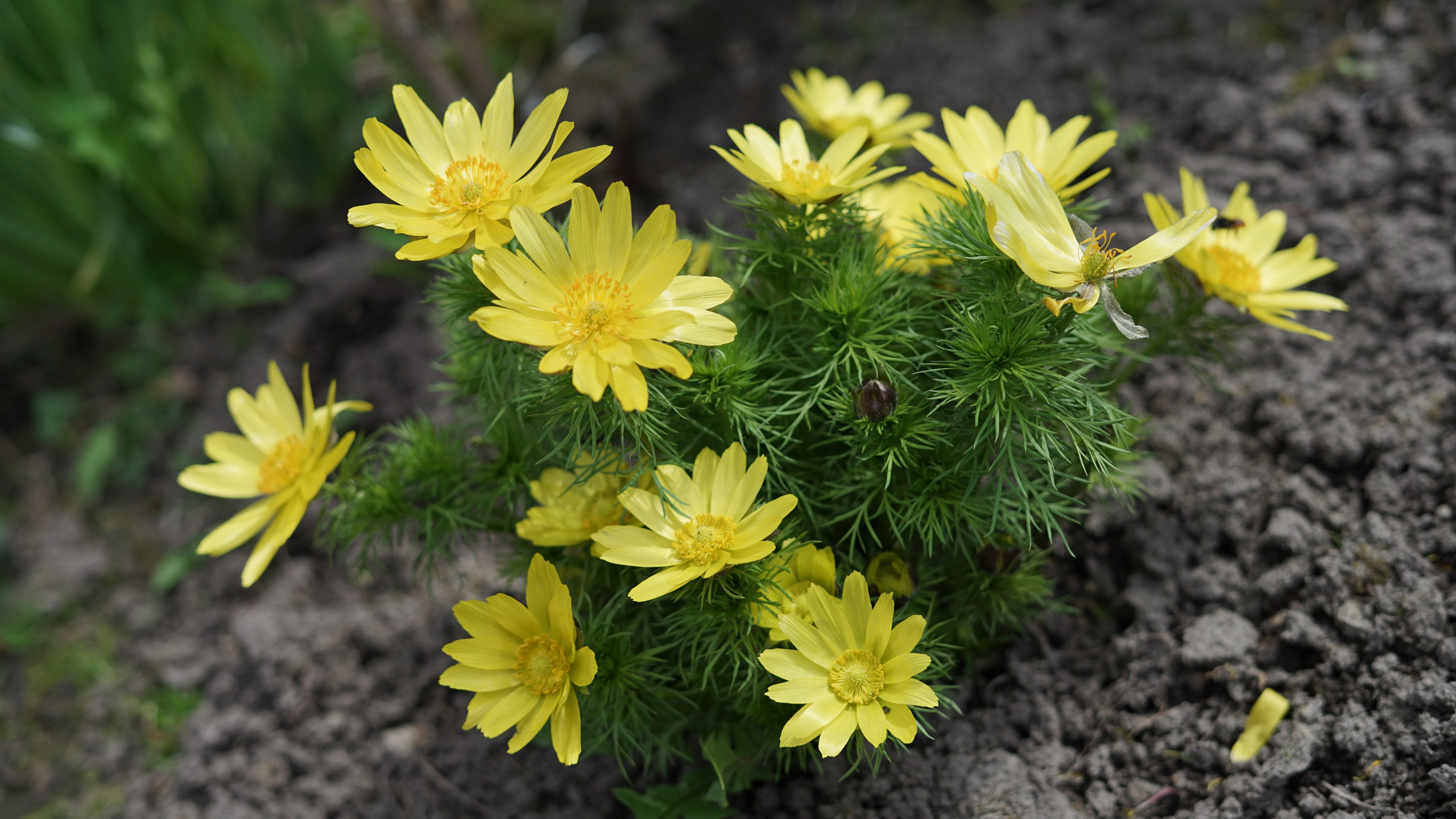 Вся красота мира в одной картинке