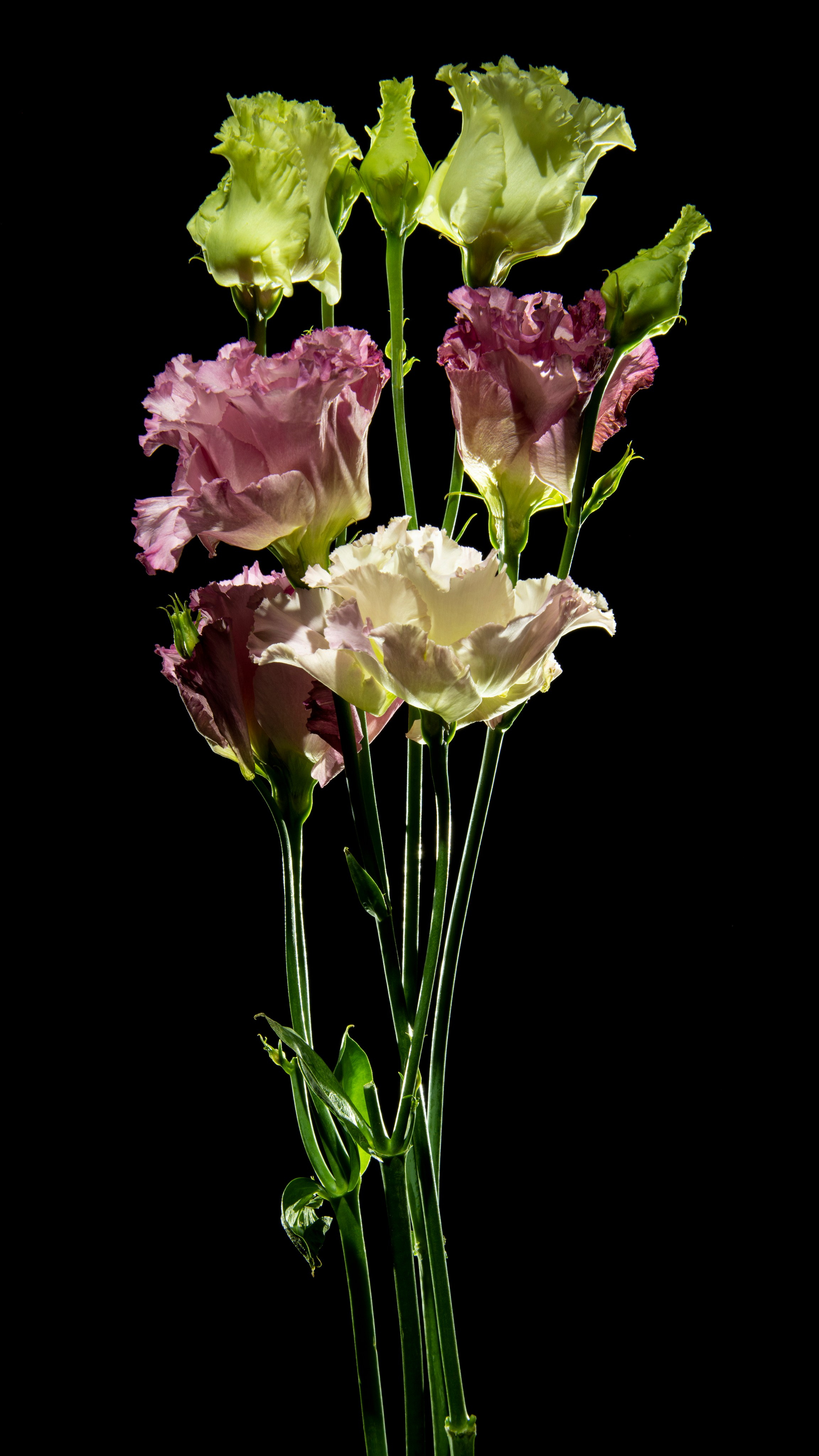 Проекты. Sakunov Photo