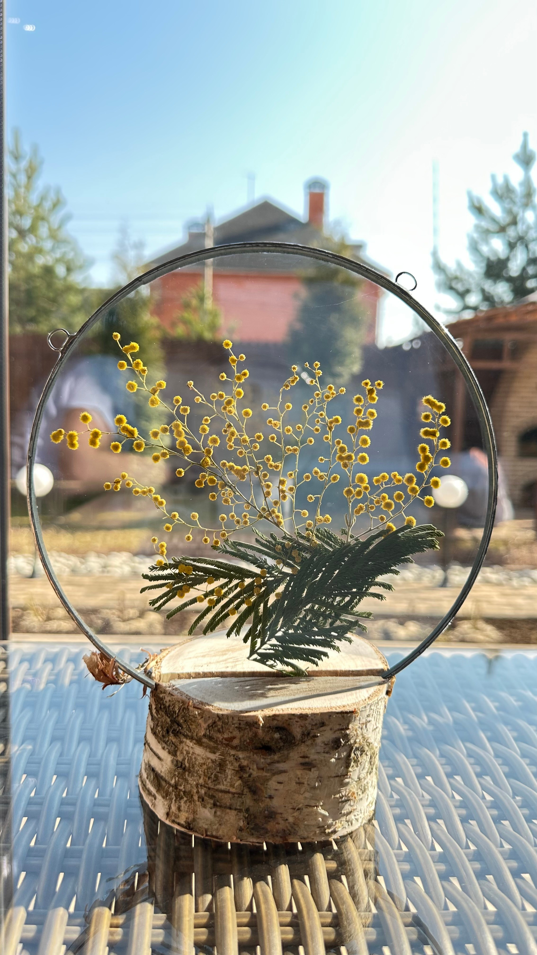 Мимоза круг 20 см. Оформляю пространства. Витражи с сухоцветами в технике Тиффани