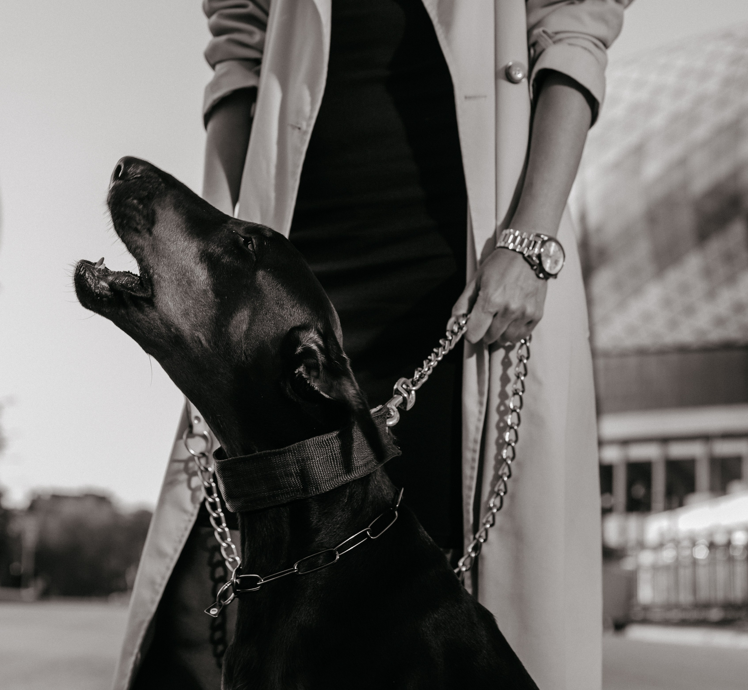 Контент фотосессия. Контент-фотограф Каражас Алена