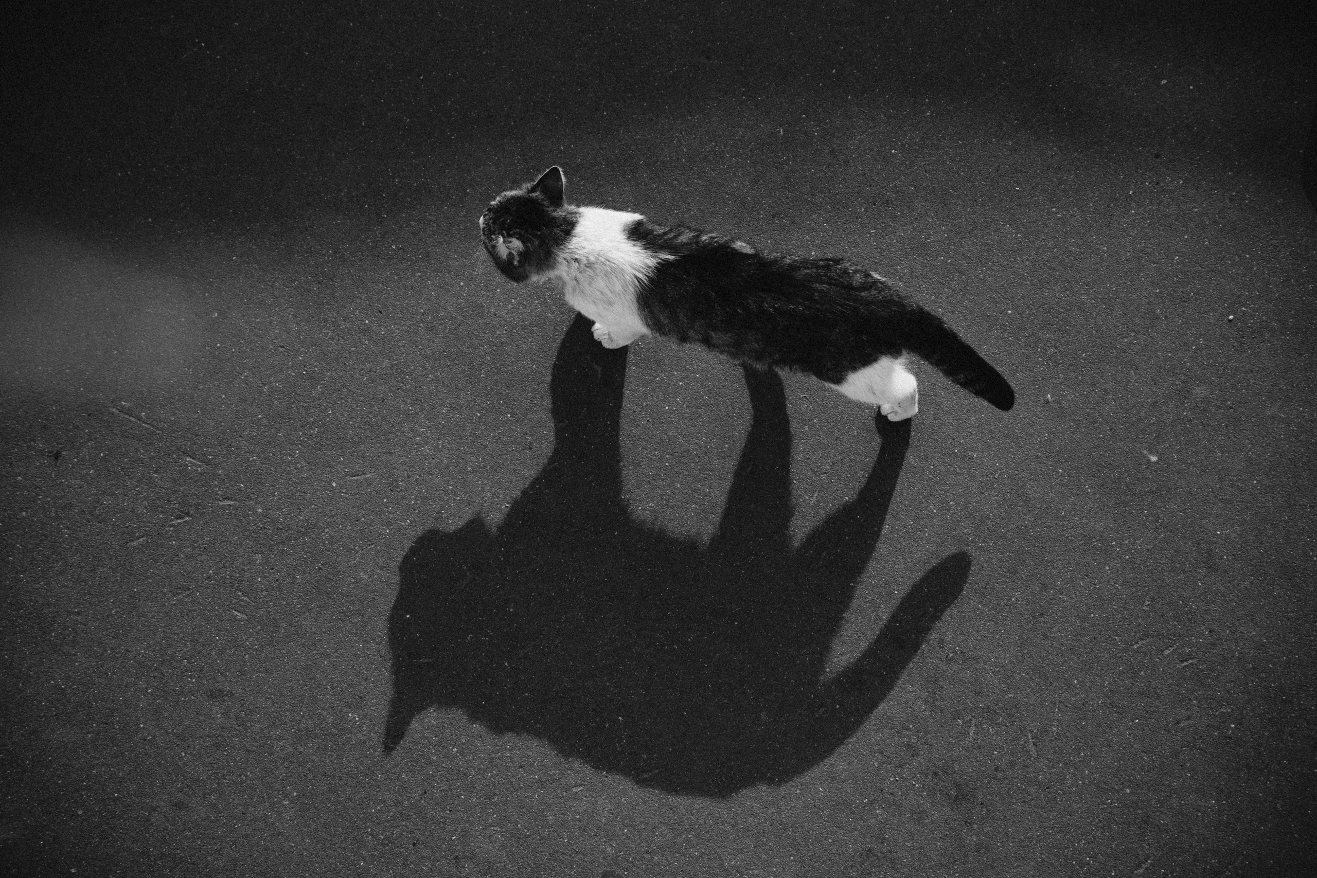 STREETSAGA — уличный фотограф в Москве. Стрит, портреты, путешествия и студийная съёмка