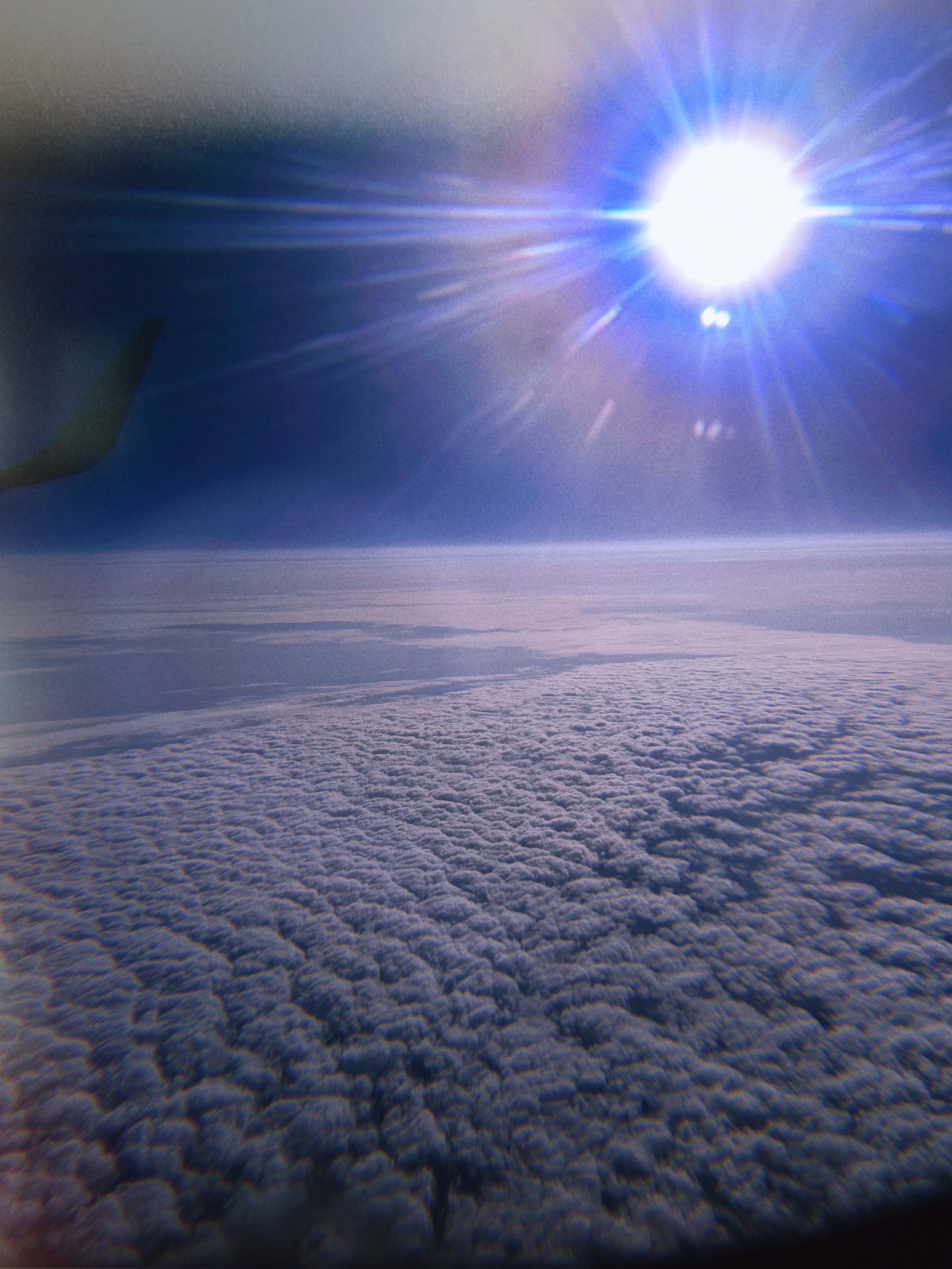 МК Мобильная фотография. Wedding photographer