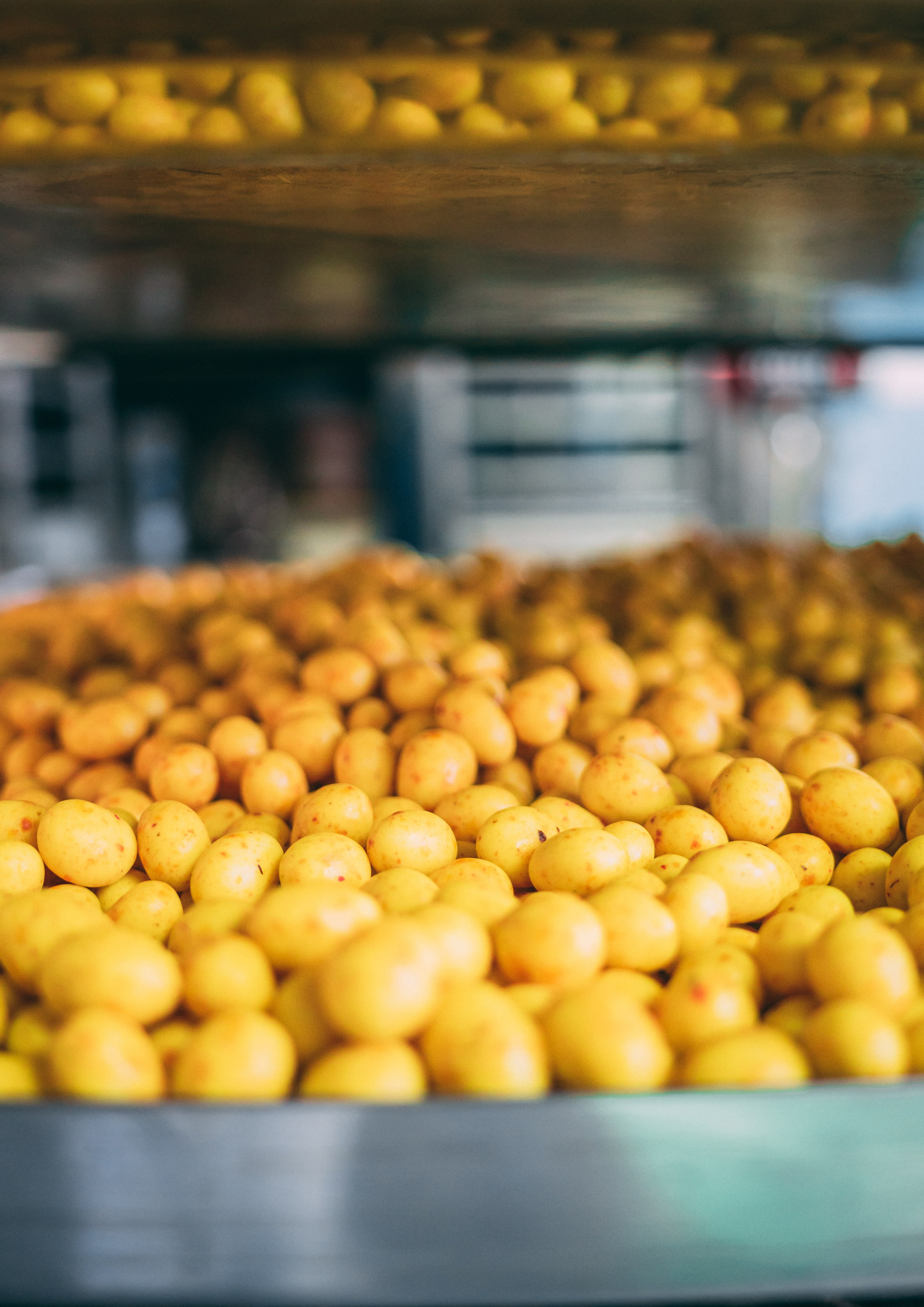 Репортажный фотограф в Москве Вадим Галанин