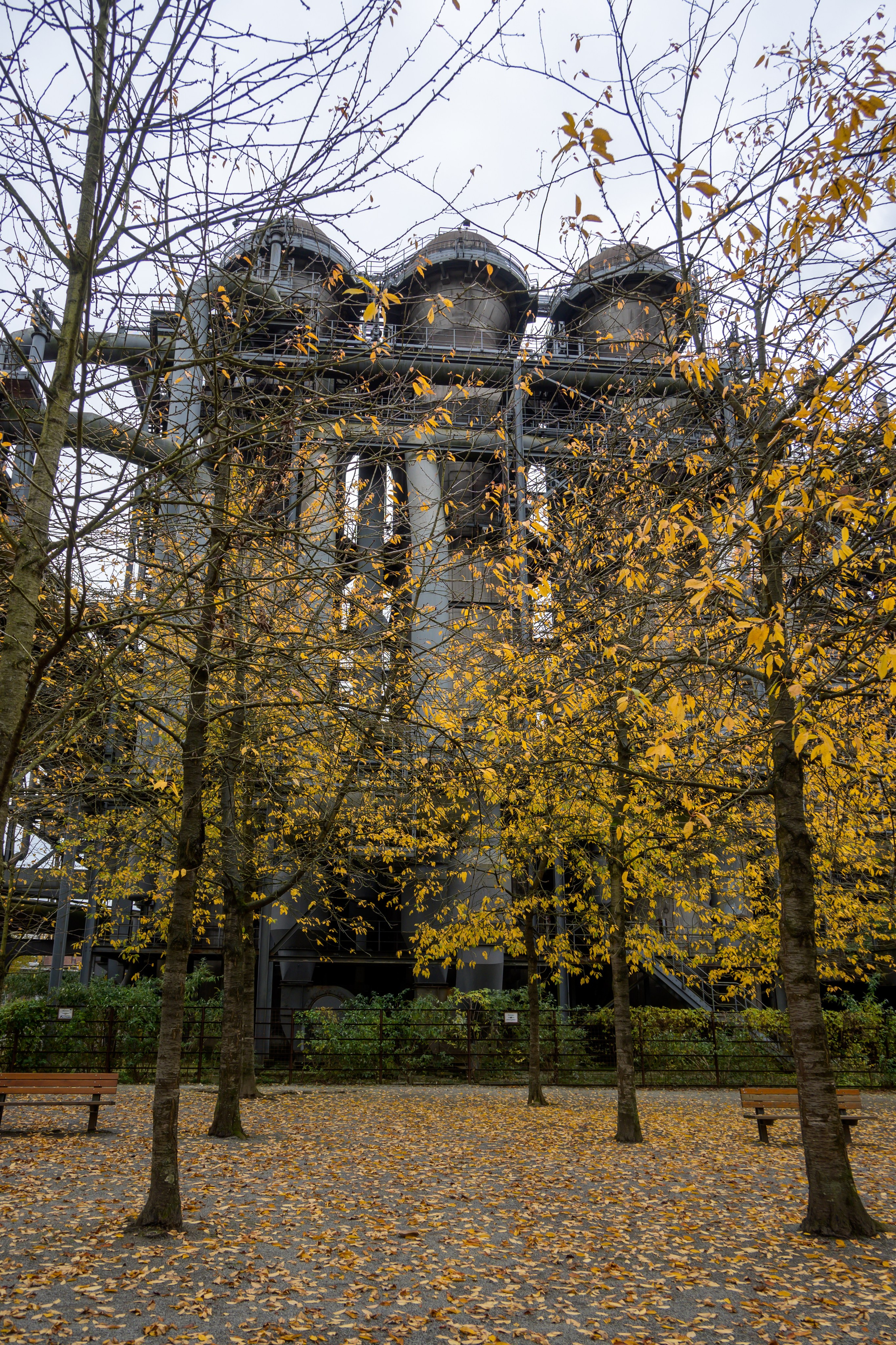 Фотограф Минск