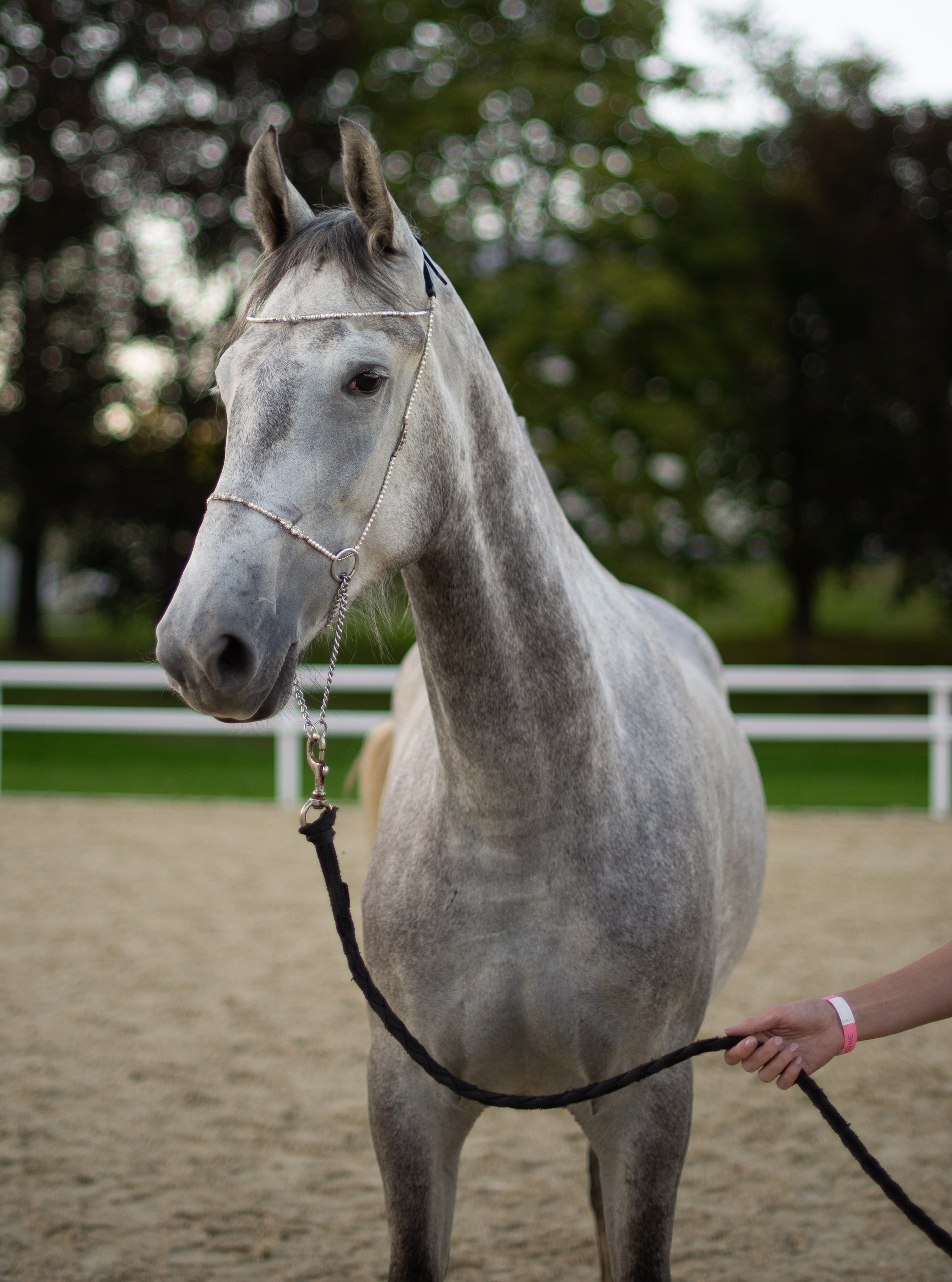 Victoria Radjevna Репортажный Фотограф — Видеограф Москва • Санкт-Петербург