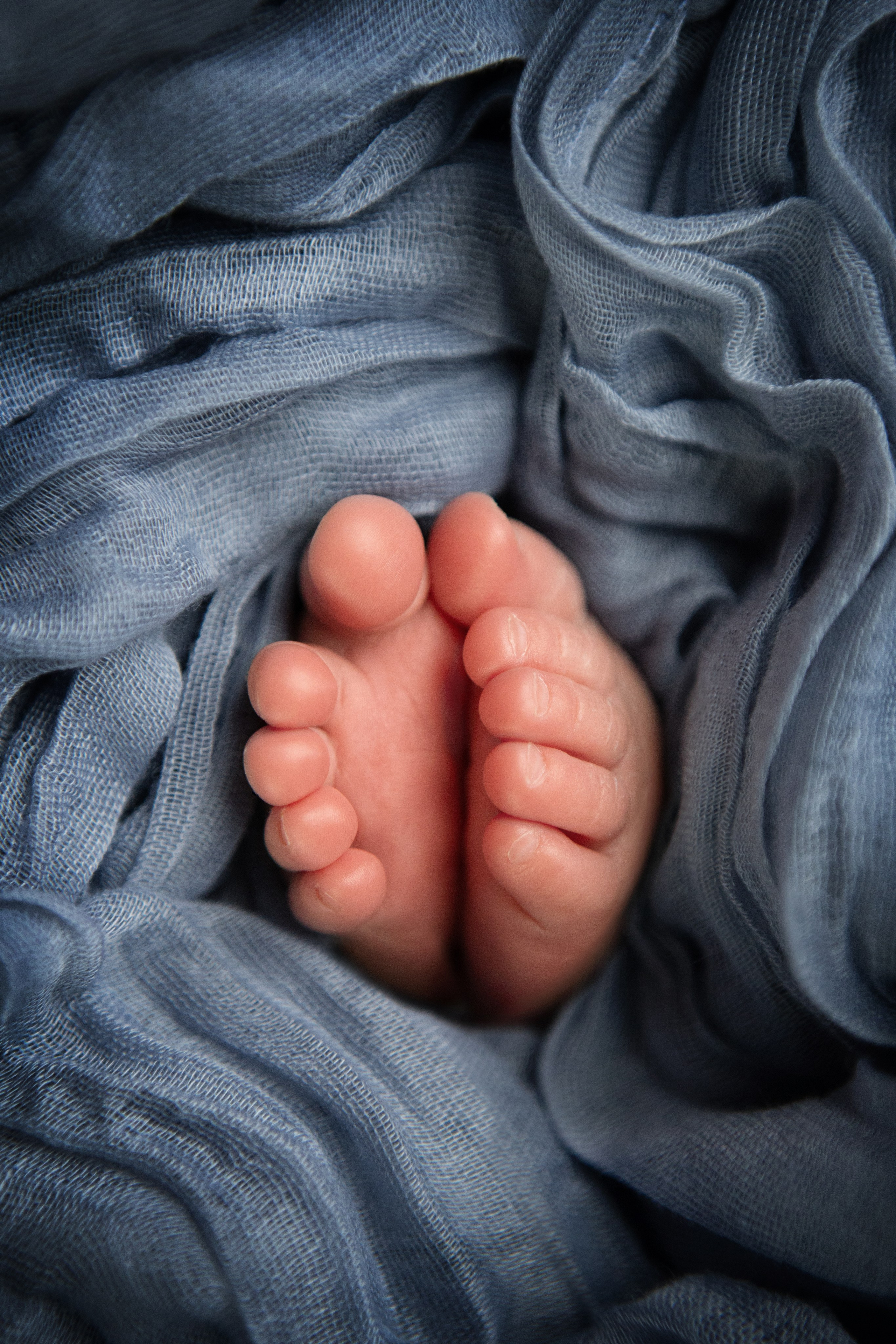 Новорожденные. Детский и ньюборн фотограф в Санкт-Петербурге Марина Айдинян