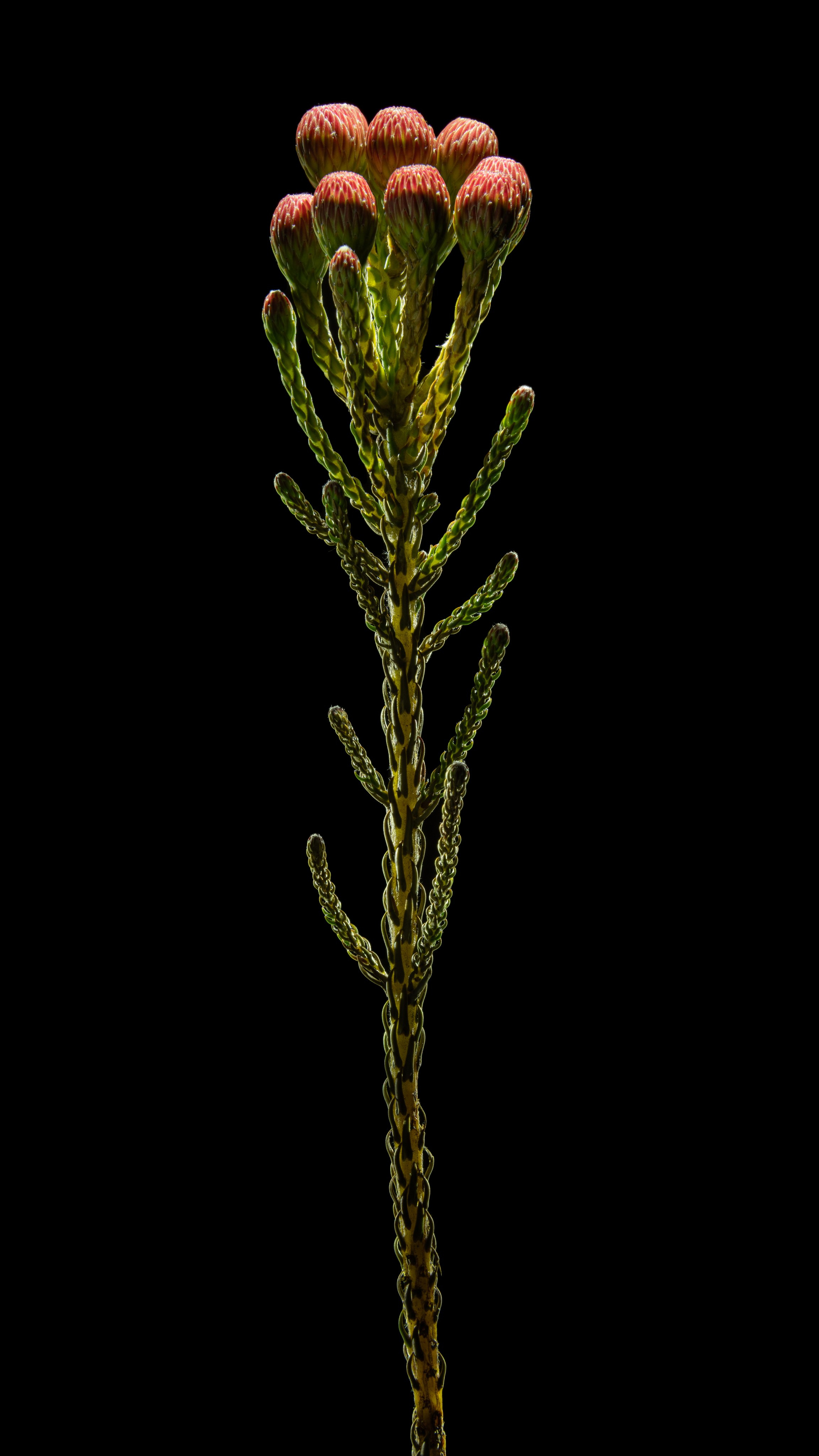 Проекты. Sakunov Photo