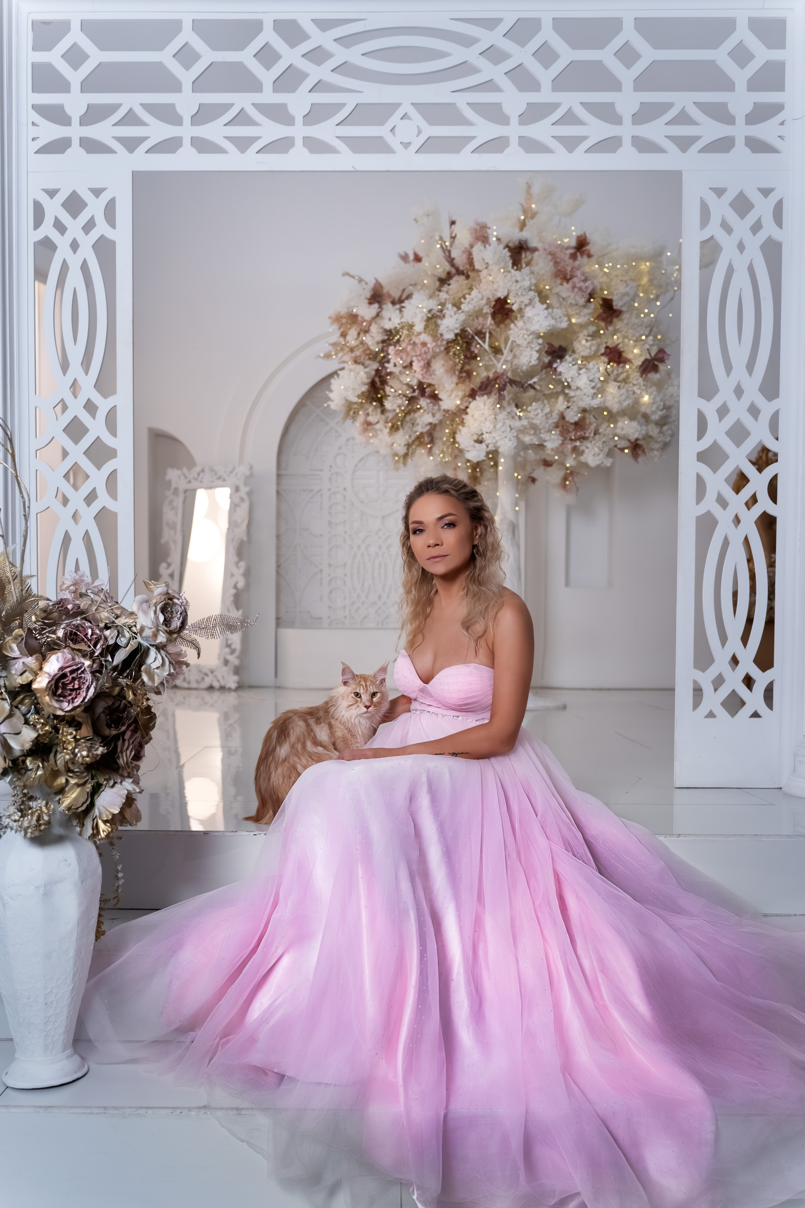 Фотосессия с котом и котятами в студии в Москве от фотографа Елены Жмельковой