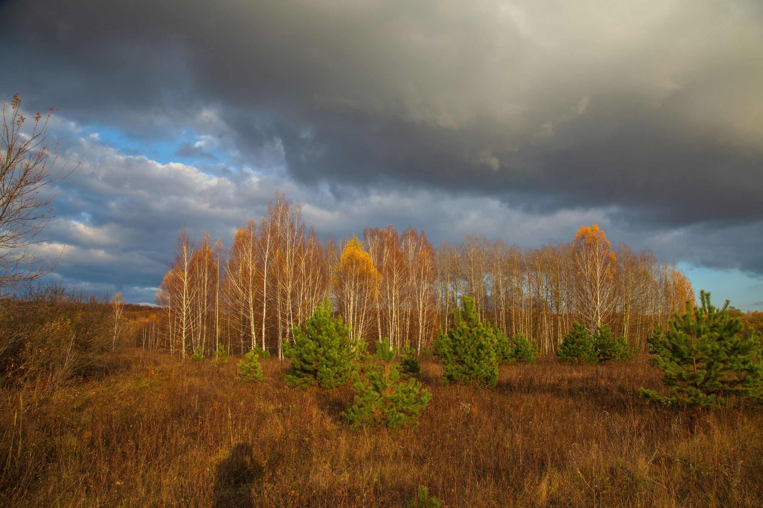ТВОРЧЕСТВО. Творческая студия АЛНИфото