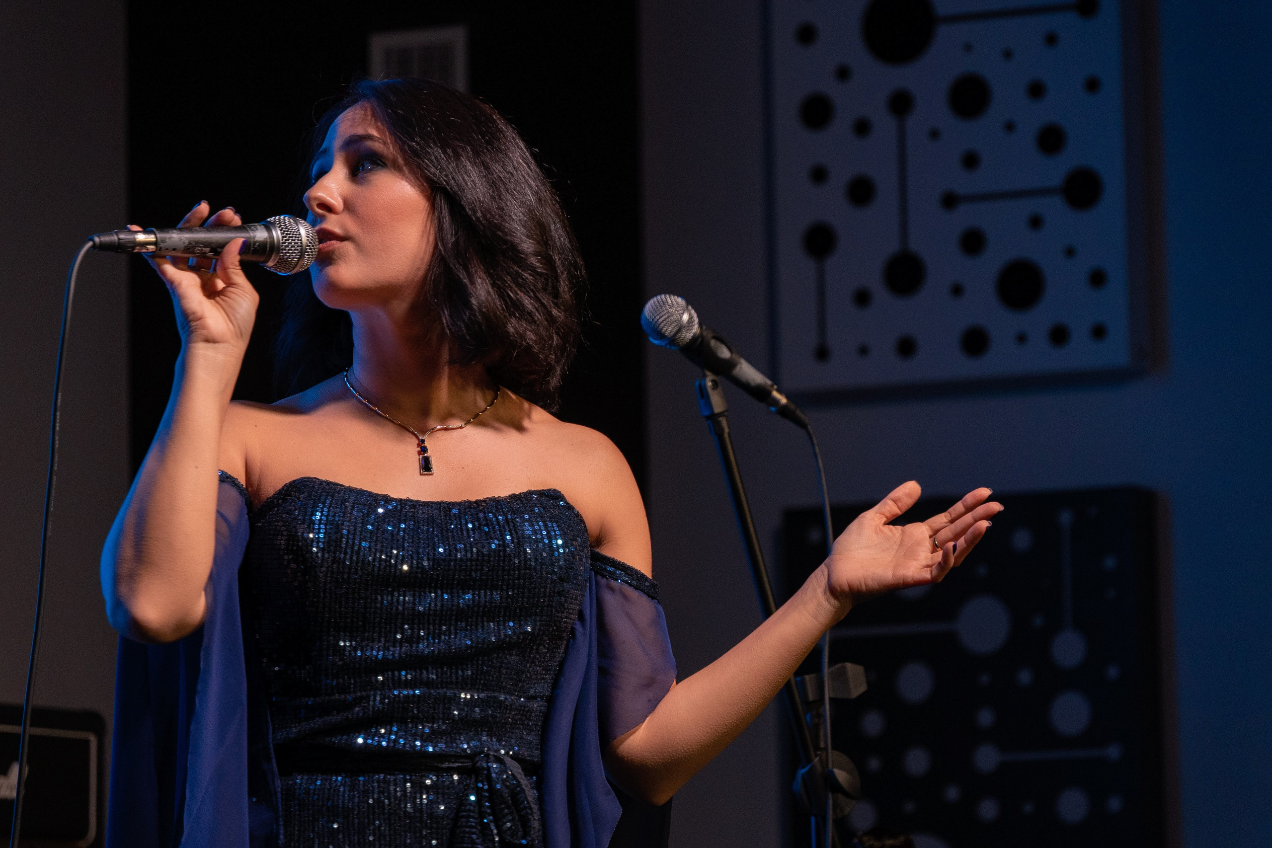 КОНЦЕРТ. Света ЧЕ. Мастер интеллектуальной фотографии. Краснодар