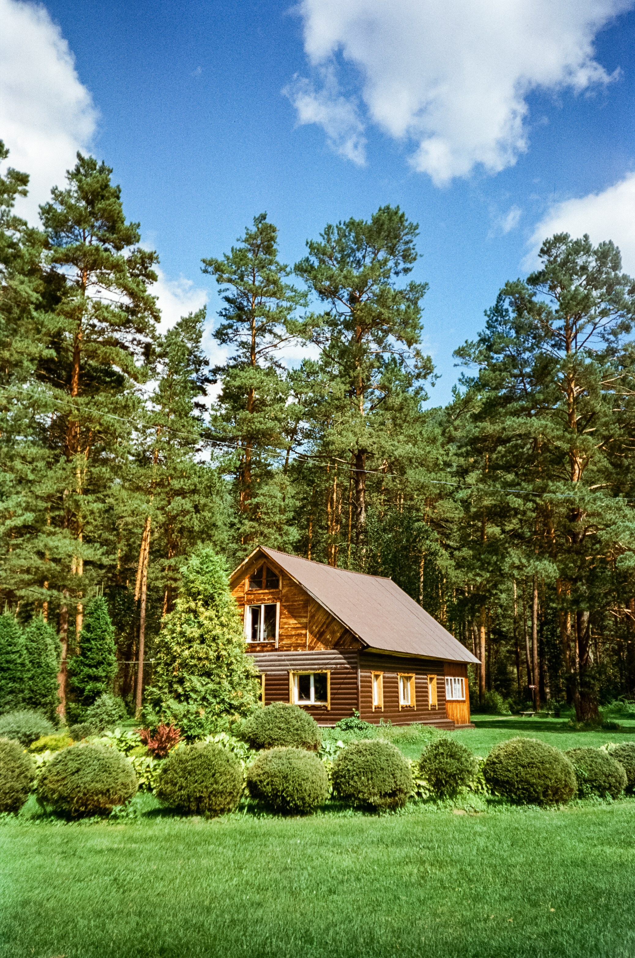 Ботанический сад в солнечный день. Фотограф-документалист Мария Осокина