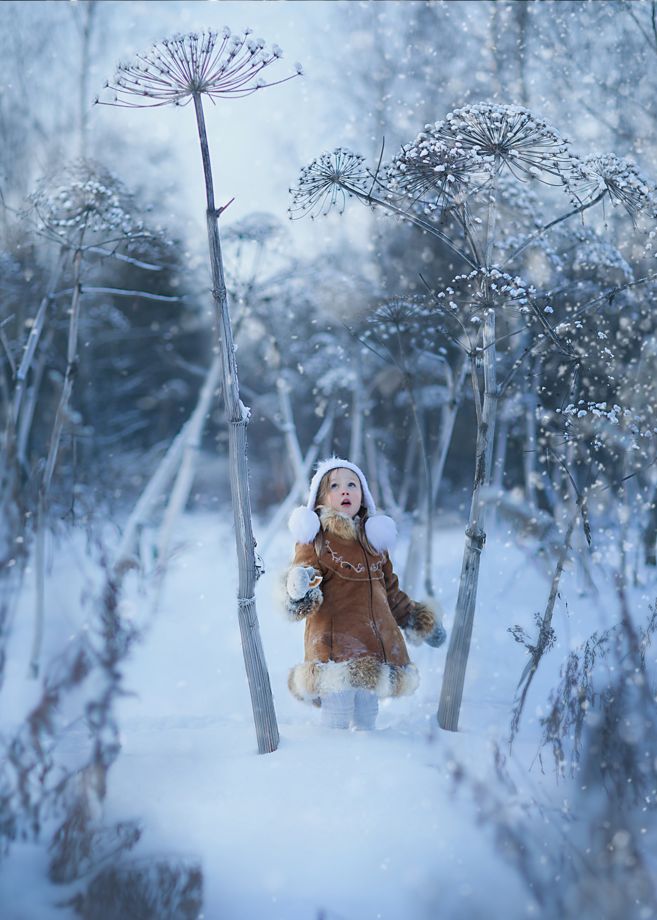 алиса в зазеркалье