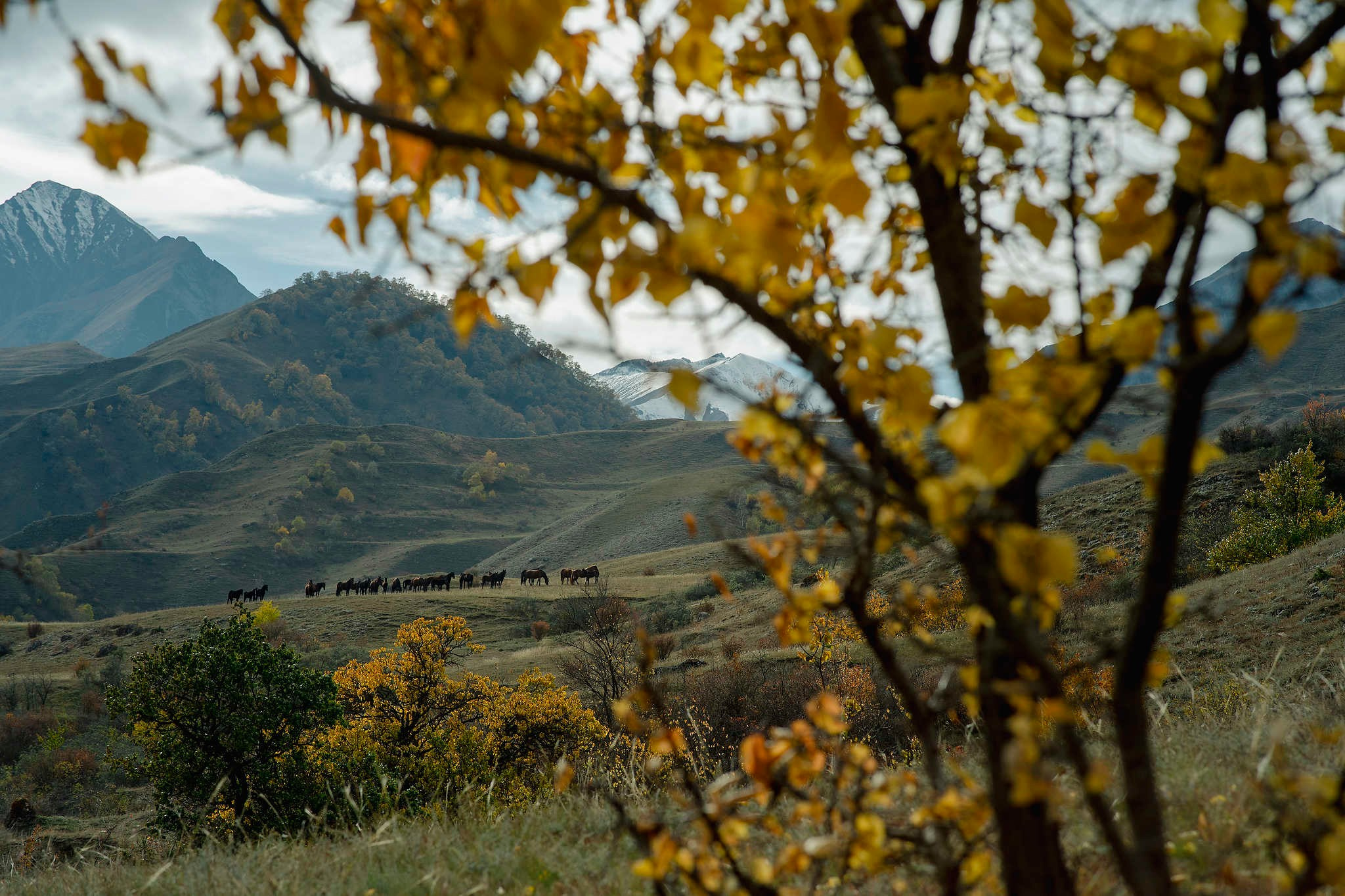 Порог неба. Репортажный фотограф в Сочи — Михаил Мордасов