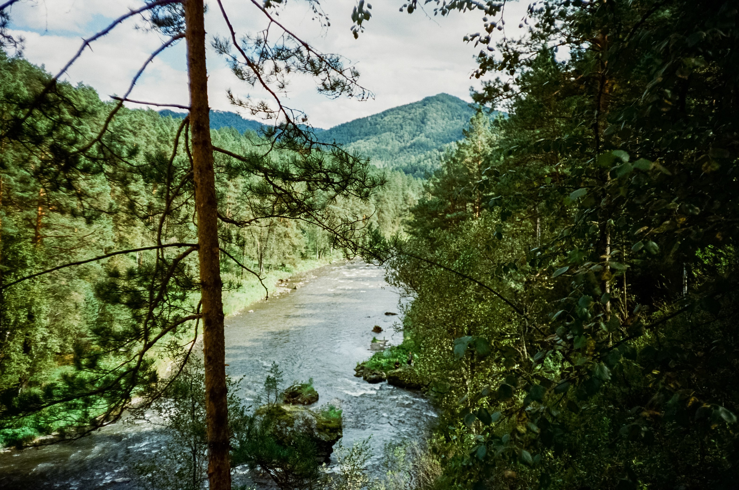 Ботанический сад в солнечный день. Фотограф-документалист Мария Осокина