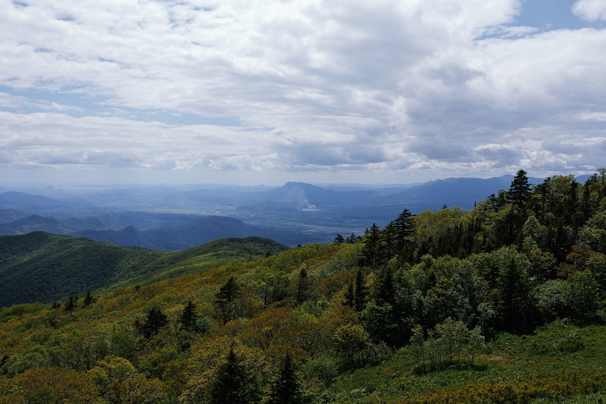Приморский пейзаж, сопки, лес и облака