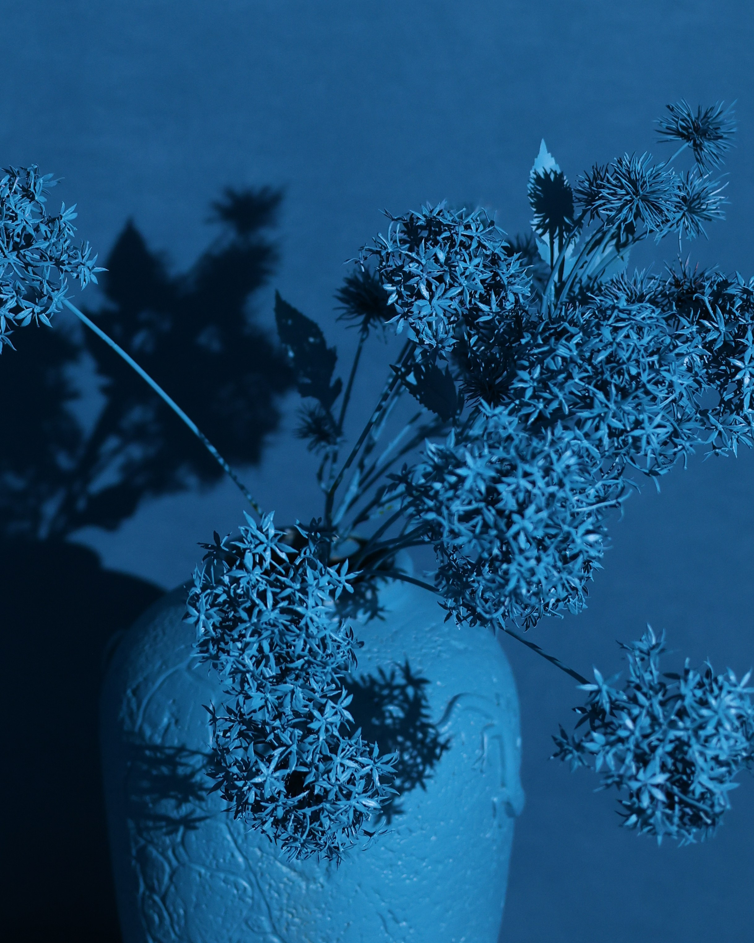 Локации. Фотостудия «Дофамин» в Нижнем Новгороде