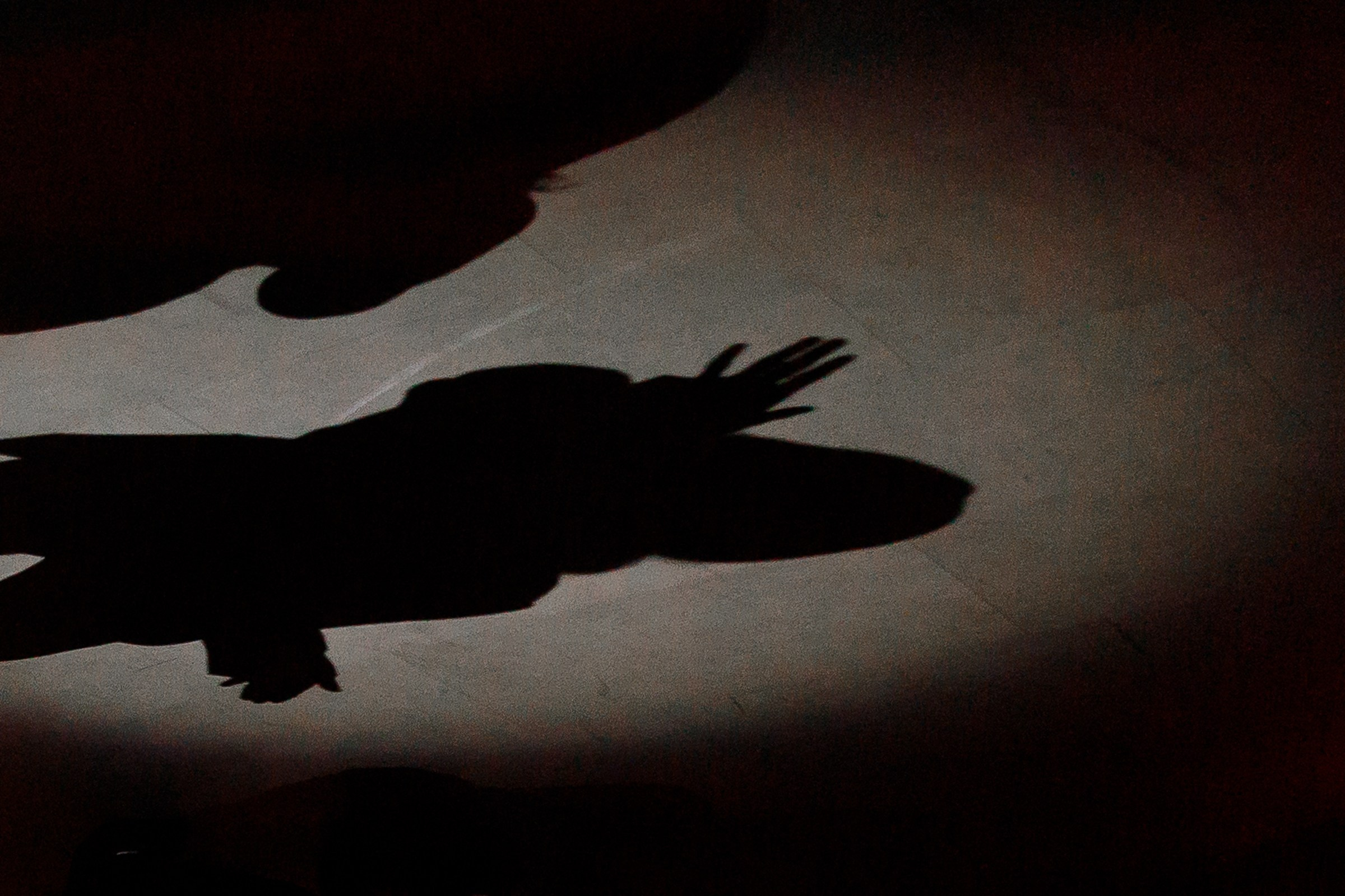 Повышать стандарты. Свадебный фотограф Марьям Сайфулина г. Красноярск