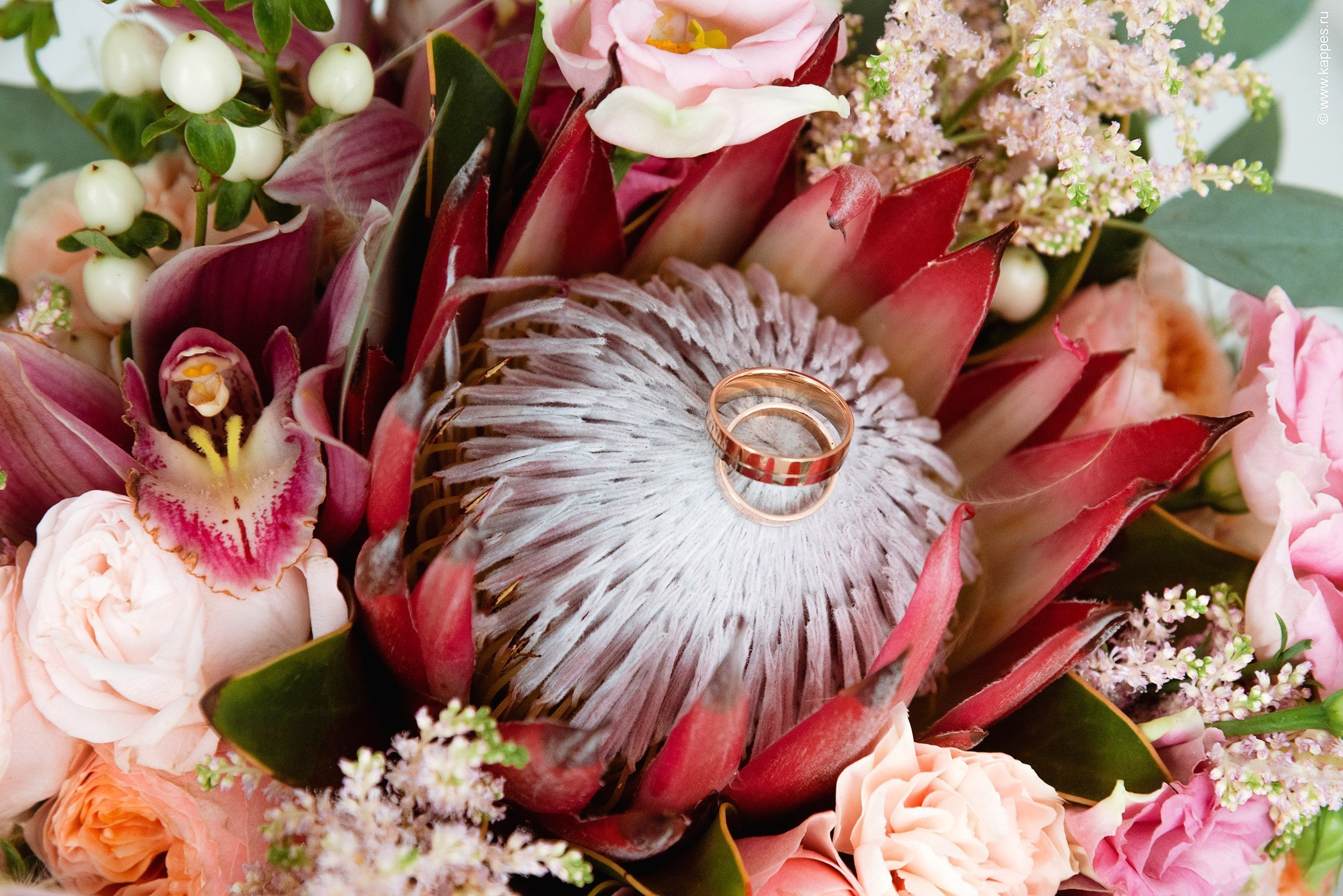 Свадебный фотограф Барнаул платье невесты. Фотограф Опыт Качество Скорость Горный Алтай Барнаул