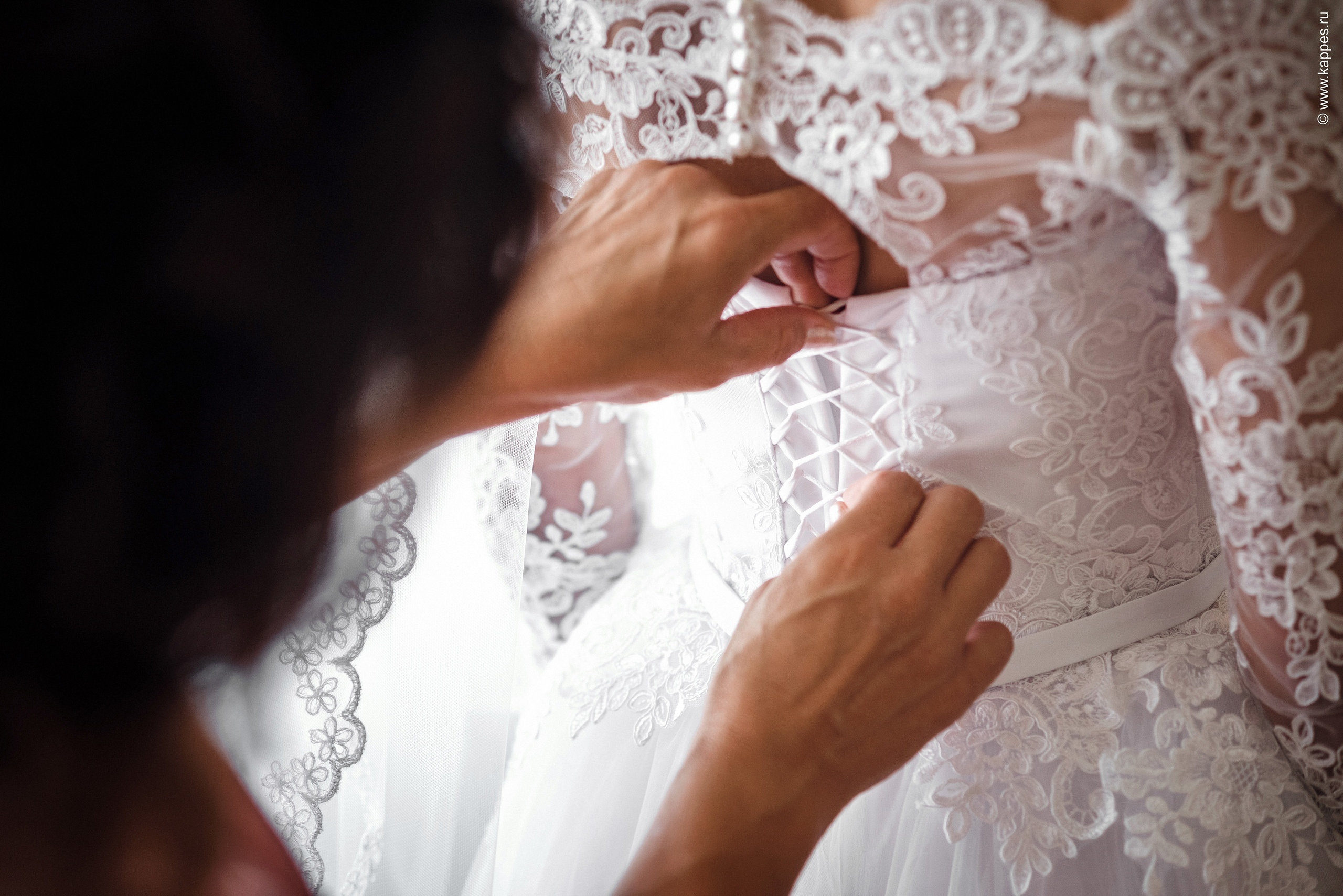 Свадебный фотограф Барнаул найти. Фотограф Опыт Качество Скорость Горный Алтай Барнаул