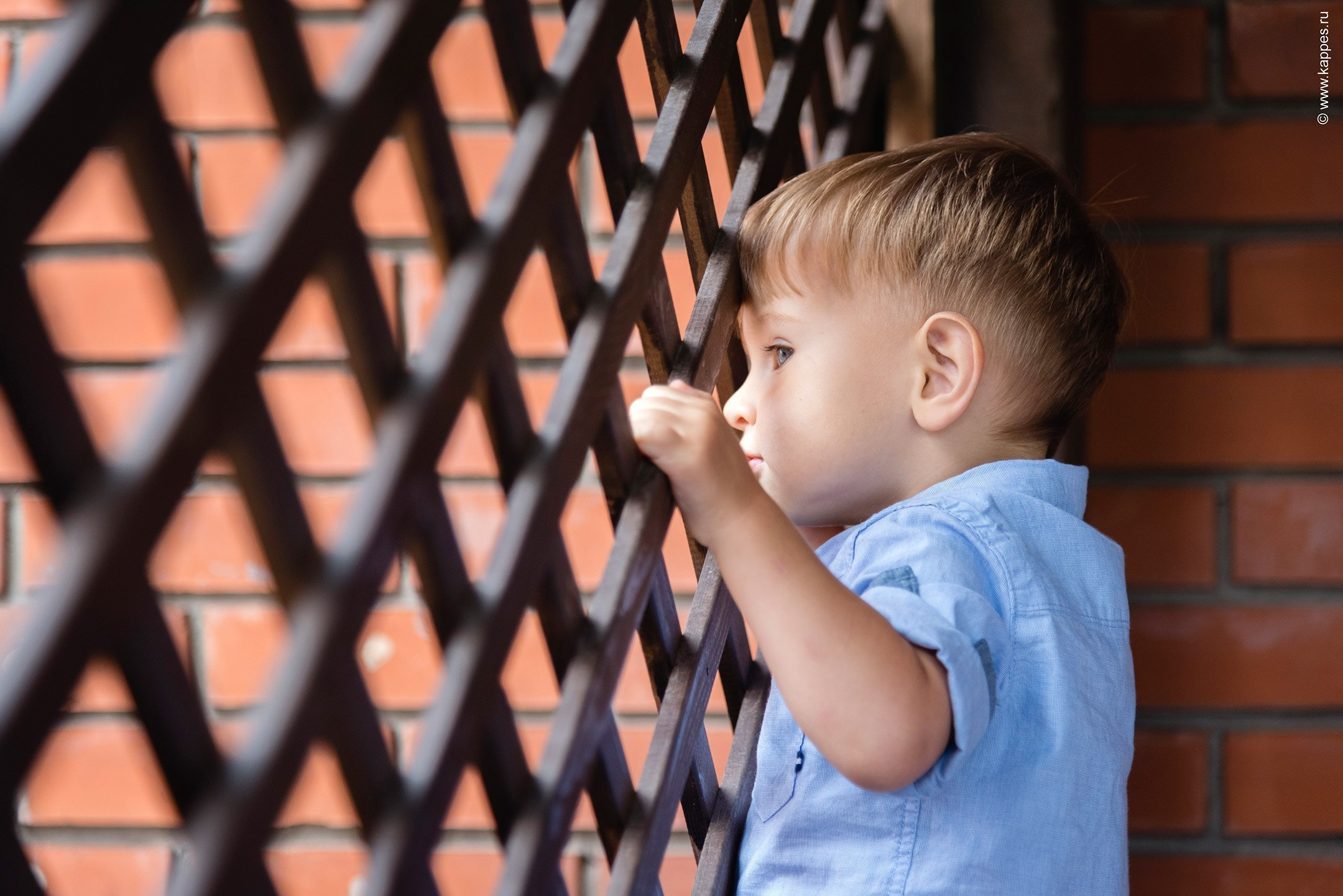 Свадебный фотограф Барнаул платье невесты. Фотограф Опыт Качество Скорость Горный Алтай Барнаул