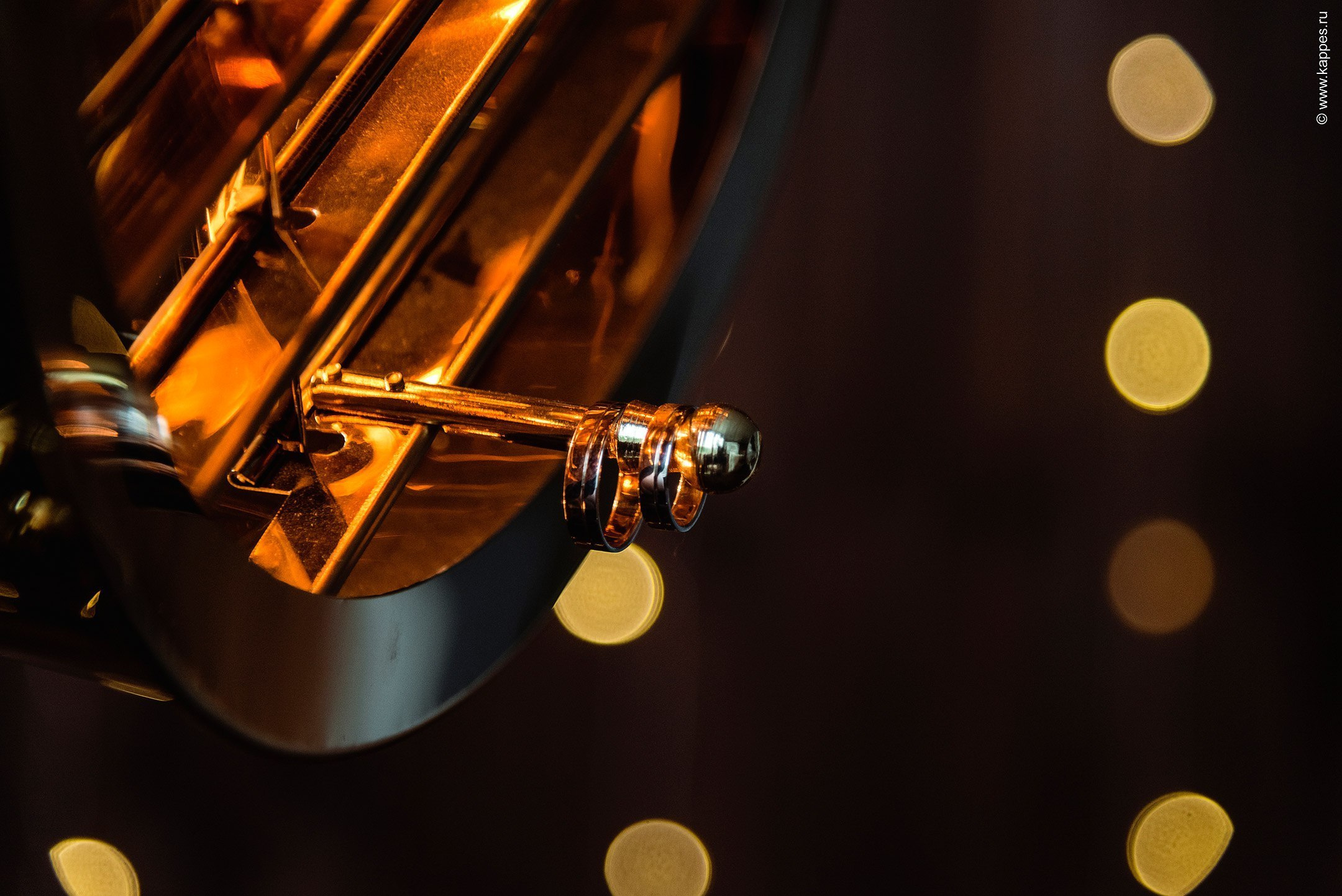 Свадебный фотограф Барнаул платье невесты. Фотограф Опыт Качество Скорость Горный Алтай Барнаул