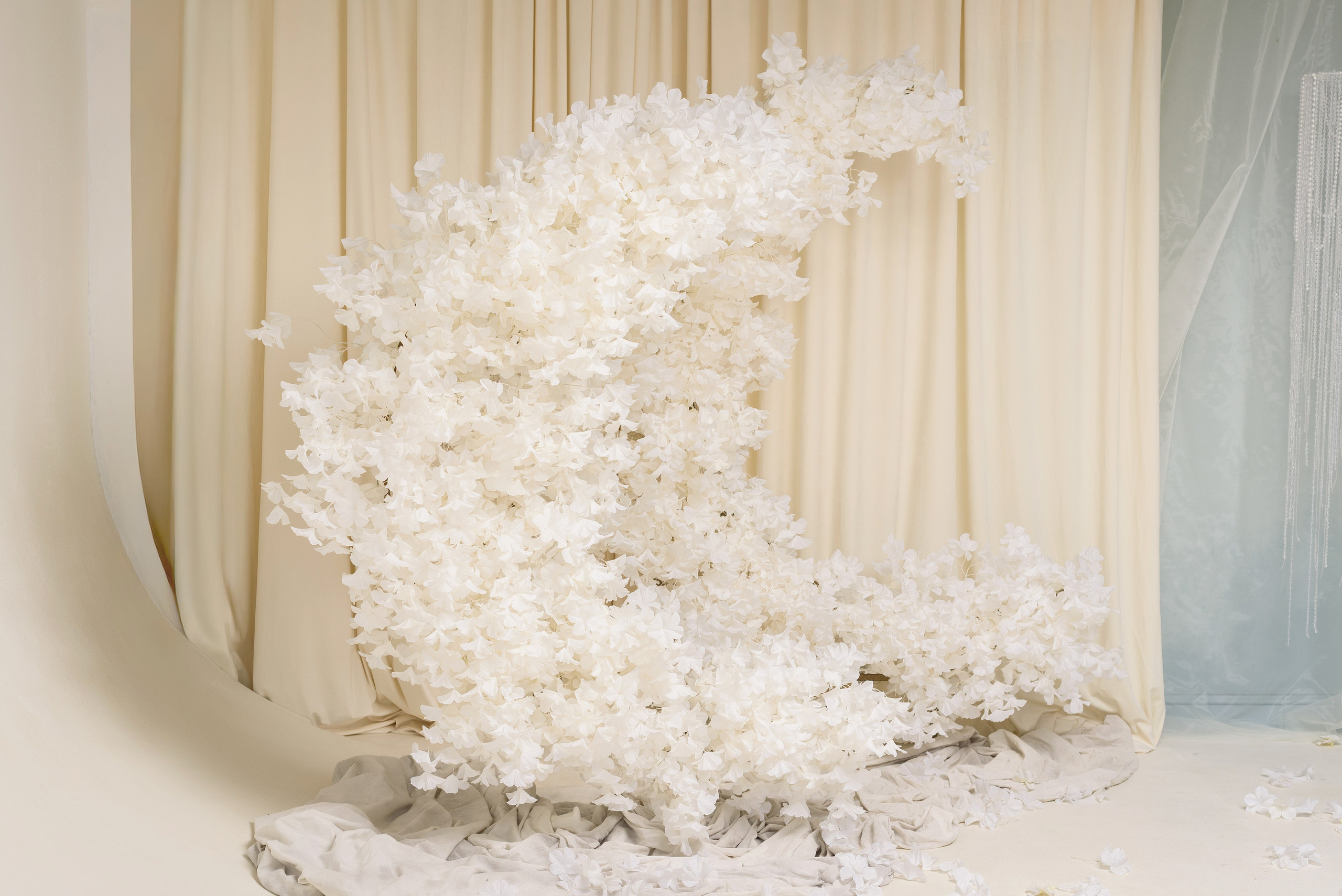 Фотостудия и фотограф в Майкопе — ProfessionalFoto