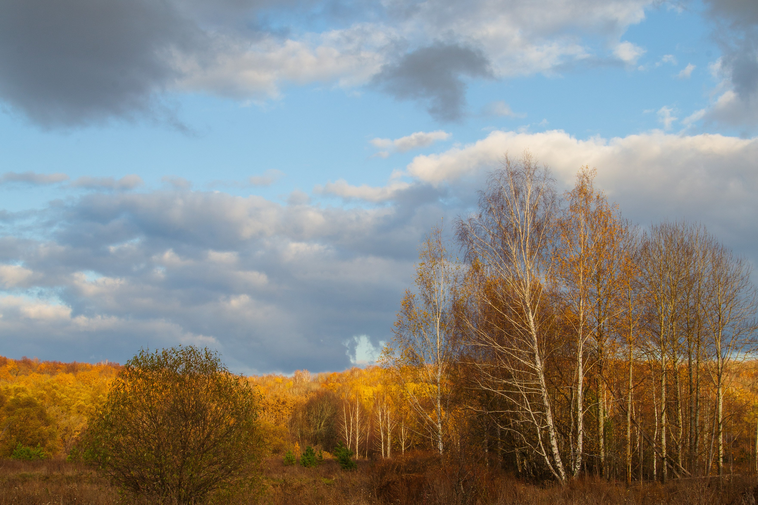 ТВОРЧЕСТВО. Творческая студия АЛНИфото