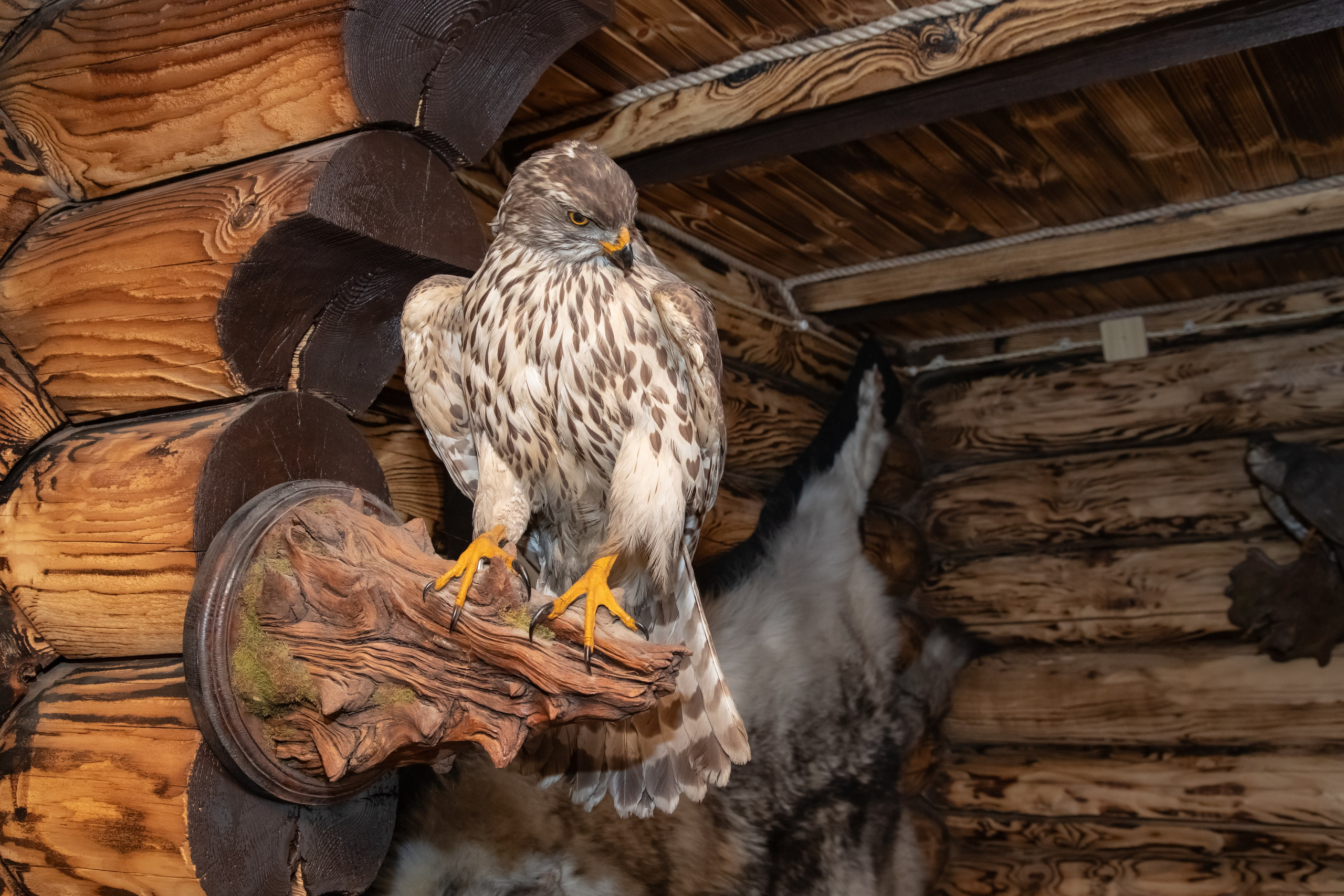 Дом «Охотничий». Банный комплекс «С легким паром»