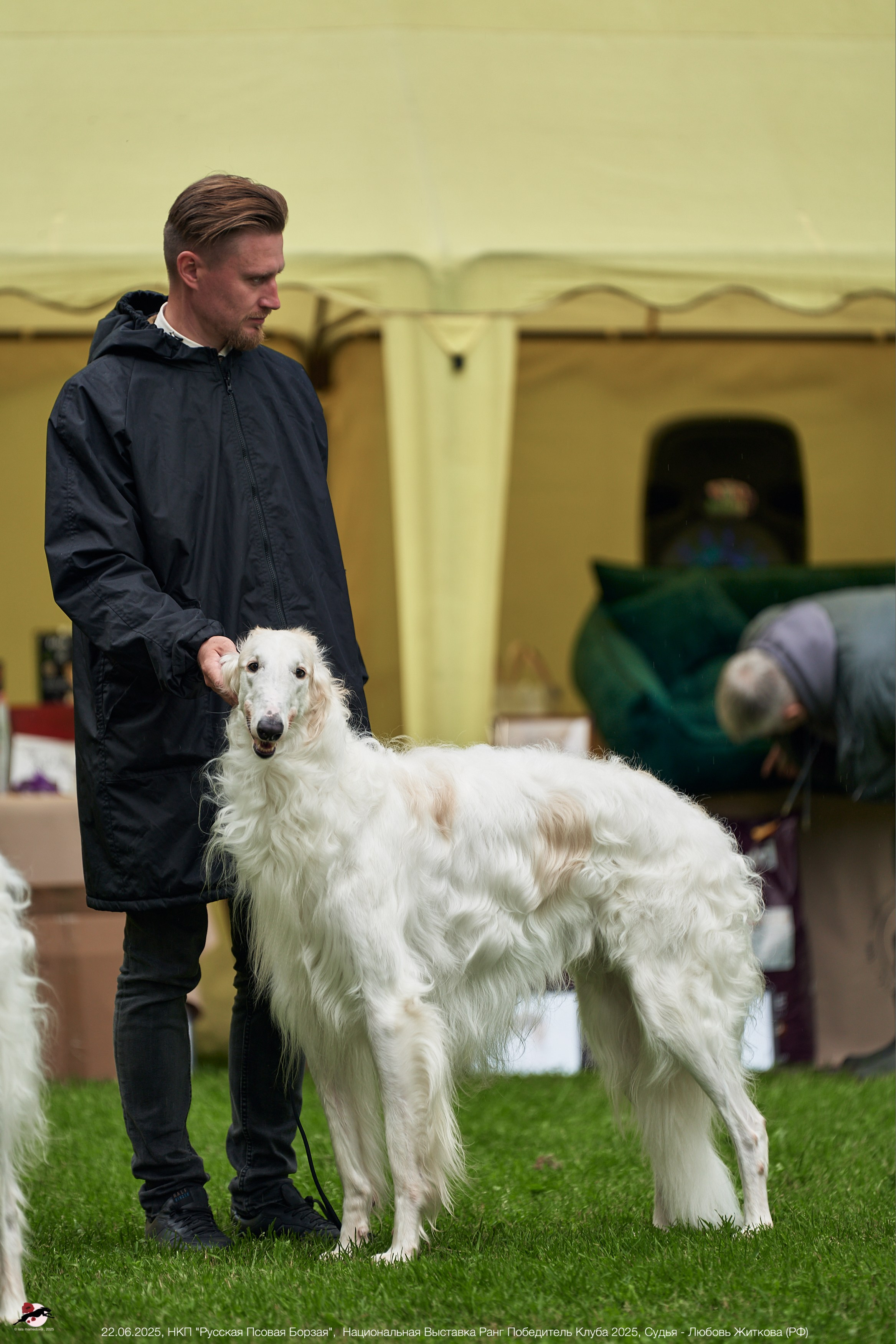 22.06.2025 | Национальная Выставка НКП "Русская Псовая Борзая"