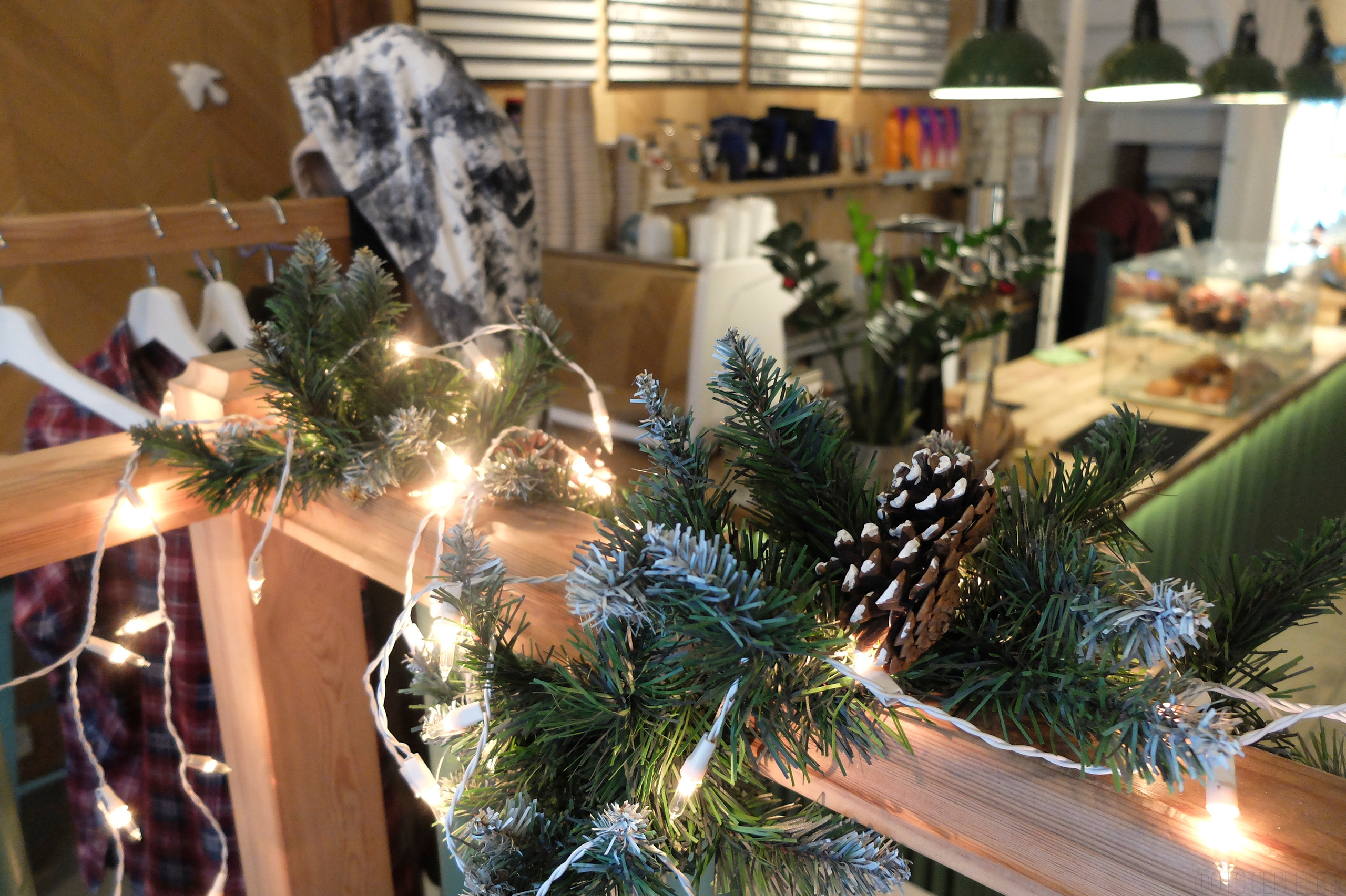 Кафе Иду лесом Братцево Fujifilm X-20