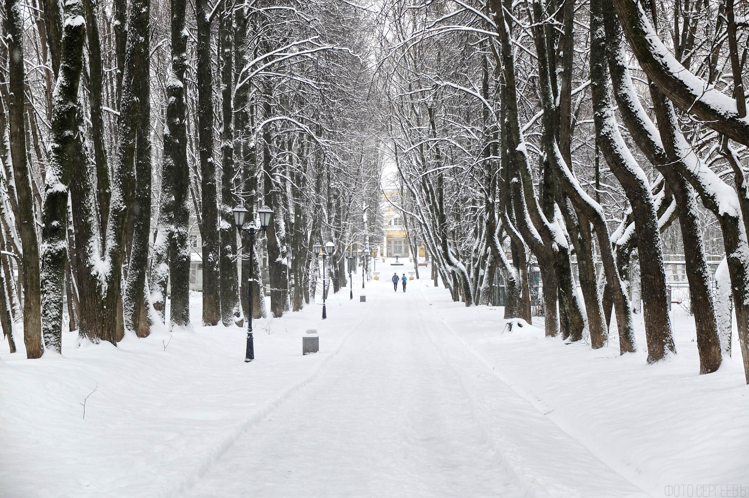 Кафе Иду лесом Братцево Fujifilm X-20