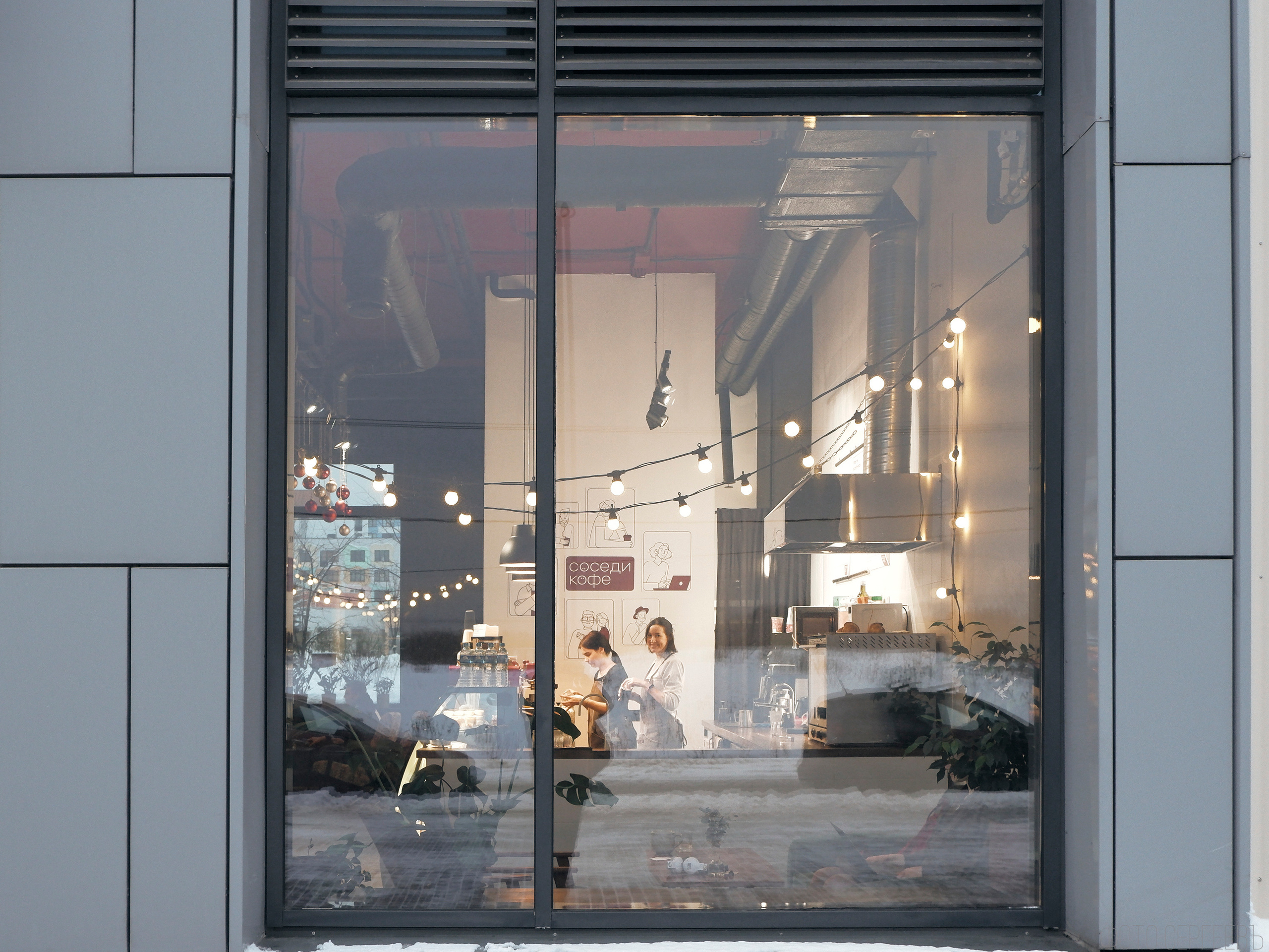 «Соседи Кофе». Микрогород в Лесу. Фотографъ Сергѣевъ. Поймать мгновеніе