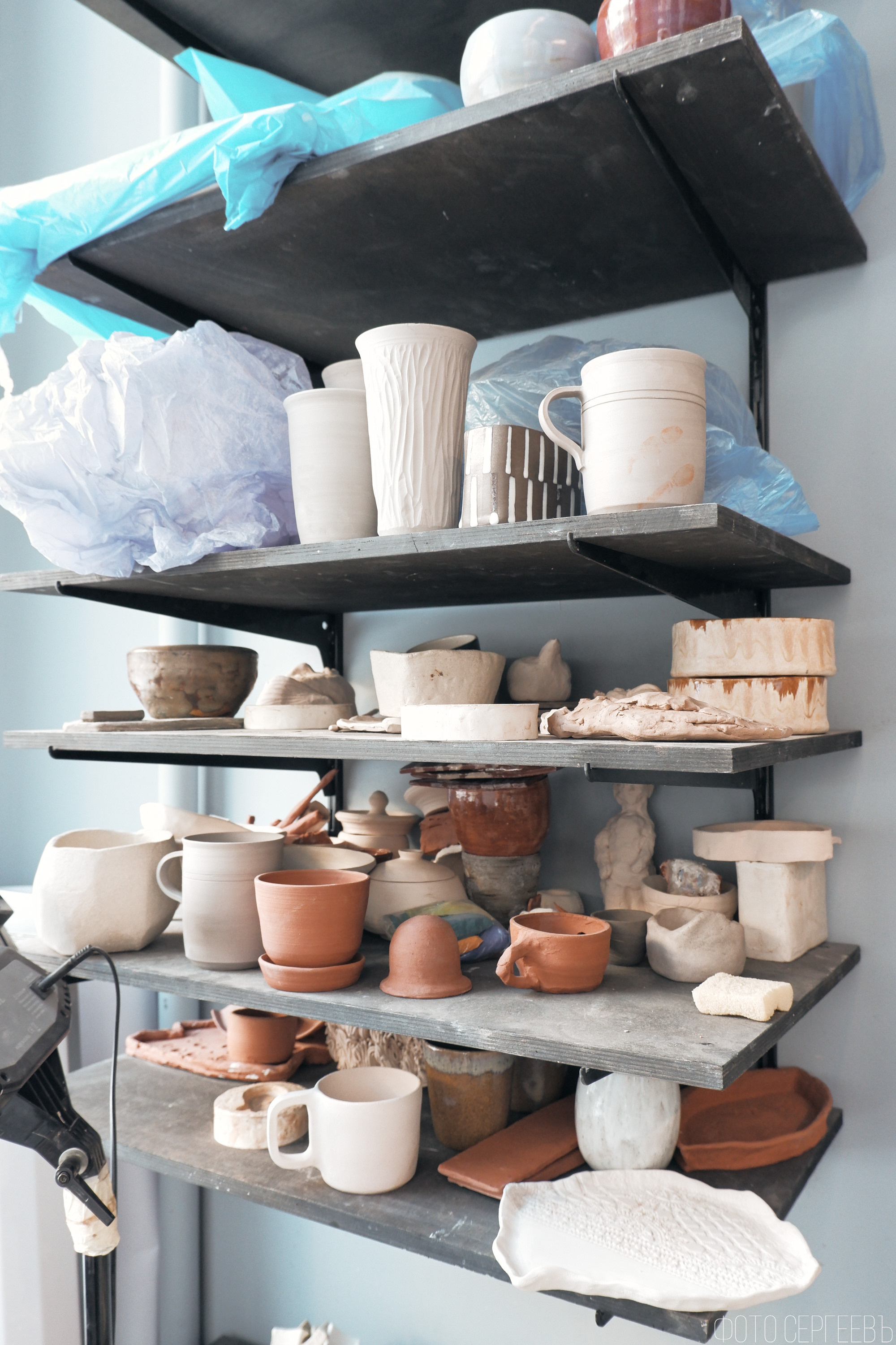 Дом искусства «Котинга». Фотографъ Сергѣевъ. Поймать мгновеніе