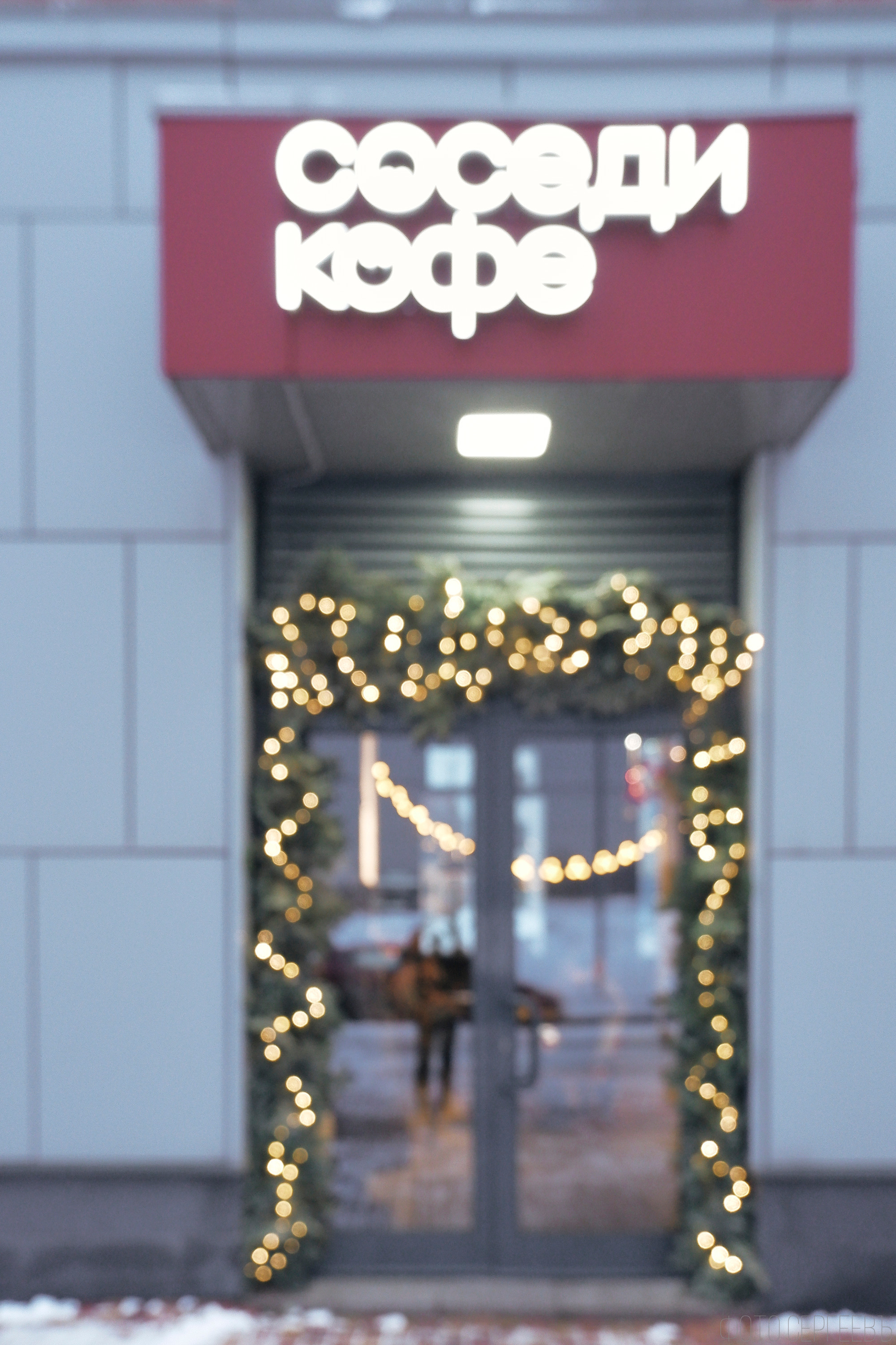 «Соседи Кофе». Микрогород в Лесу. Фотографъ Сергѣевъ. Поймать мгновеніе