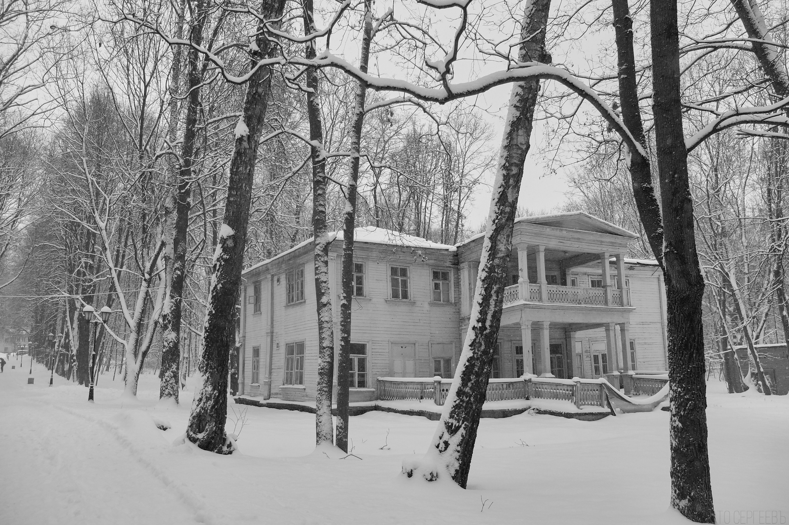 Кафе Иду лесом Братцево Fujifilm X-20