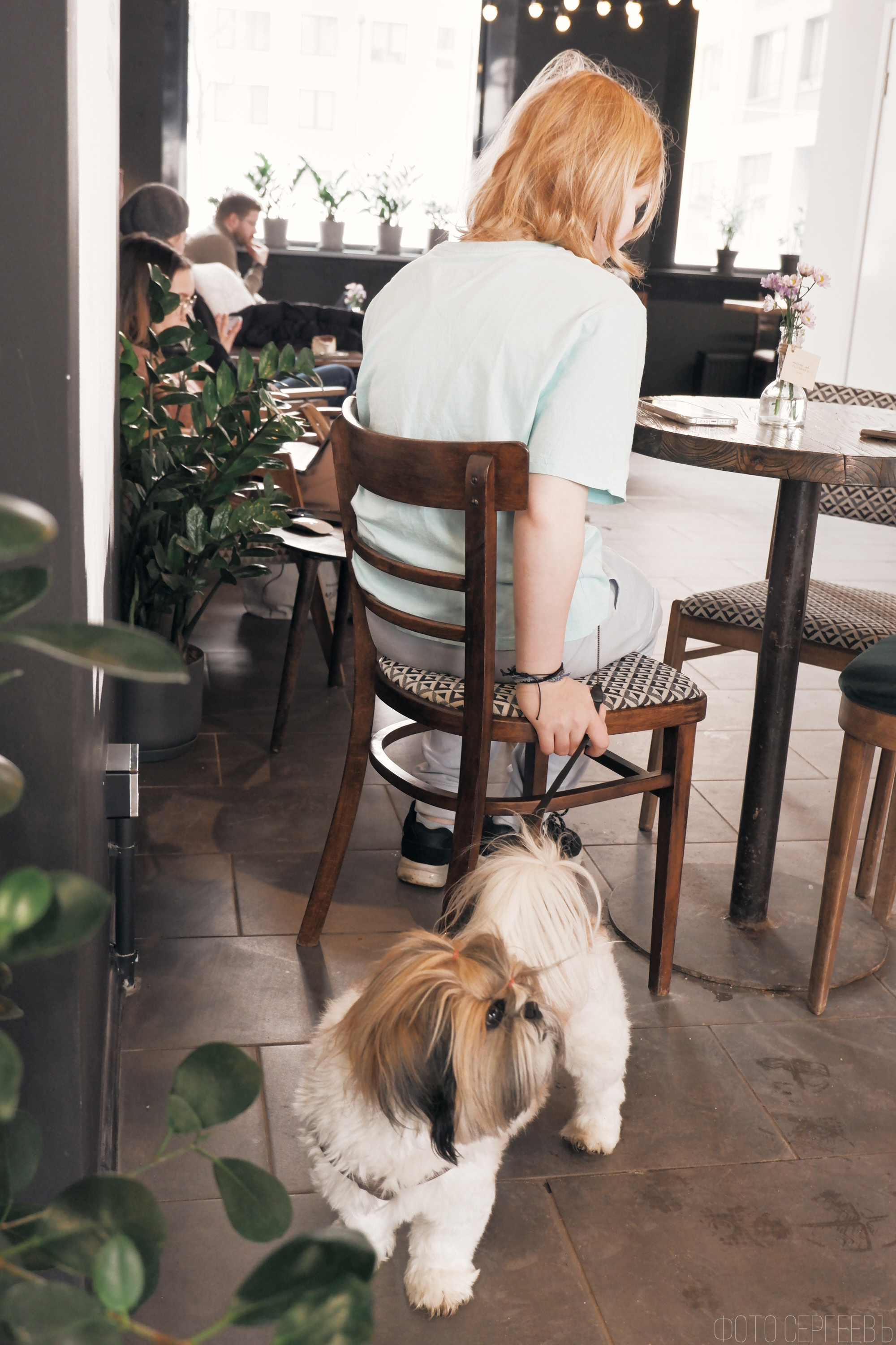 «Соседи Кофе». Микрогород в Лесу. Фотографъ Сергѣевъ. Поймать мгновеніе