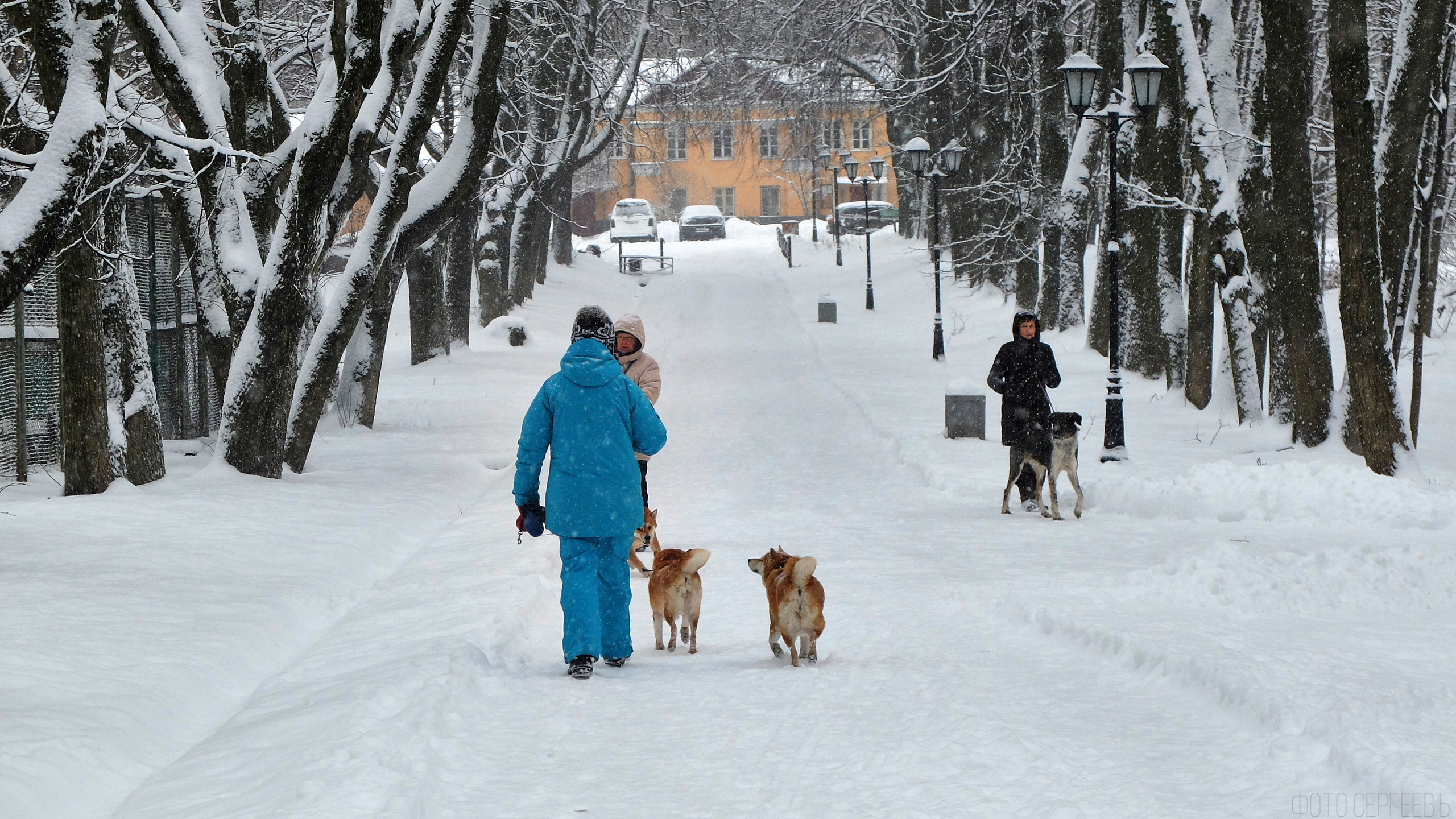 Кафе Иду лесом Братцево Fujifilm X-20