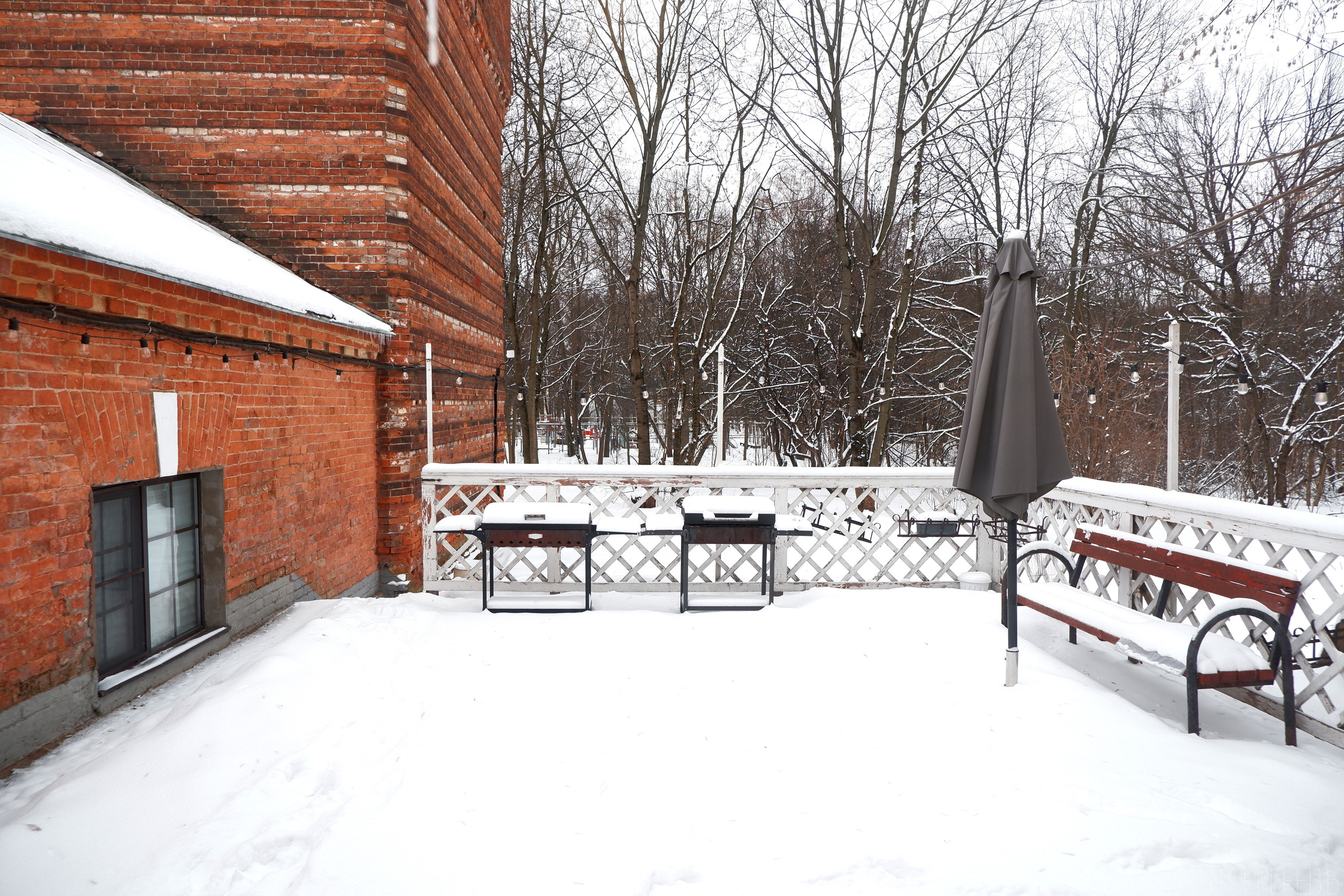 «Иду лесом». Кофе лофт в Братцево. Фотографъ Сергѣевъ. Поймать мгновеніе