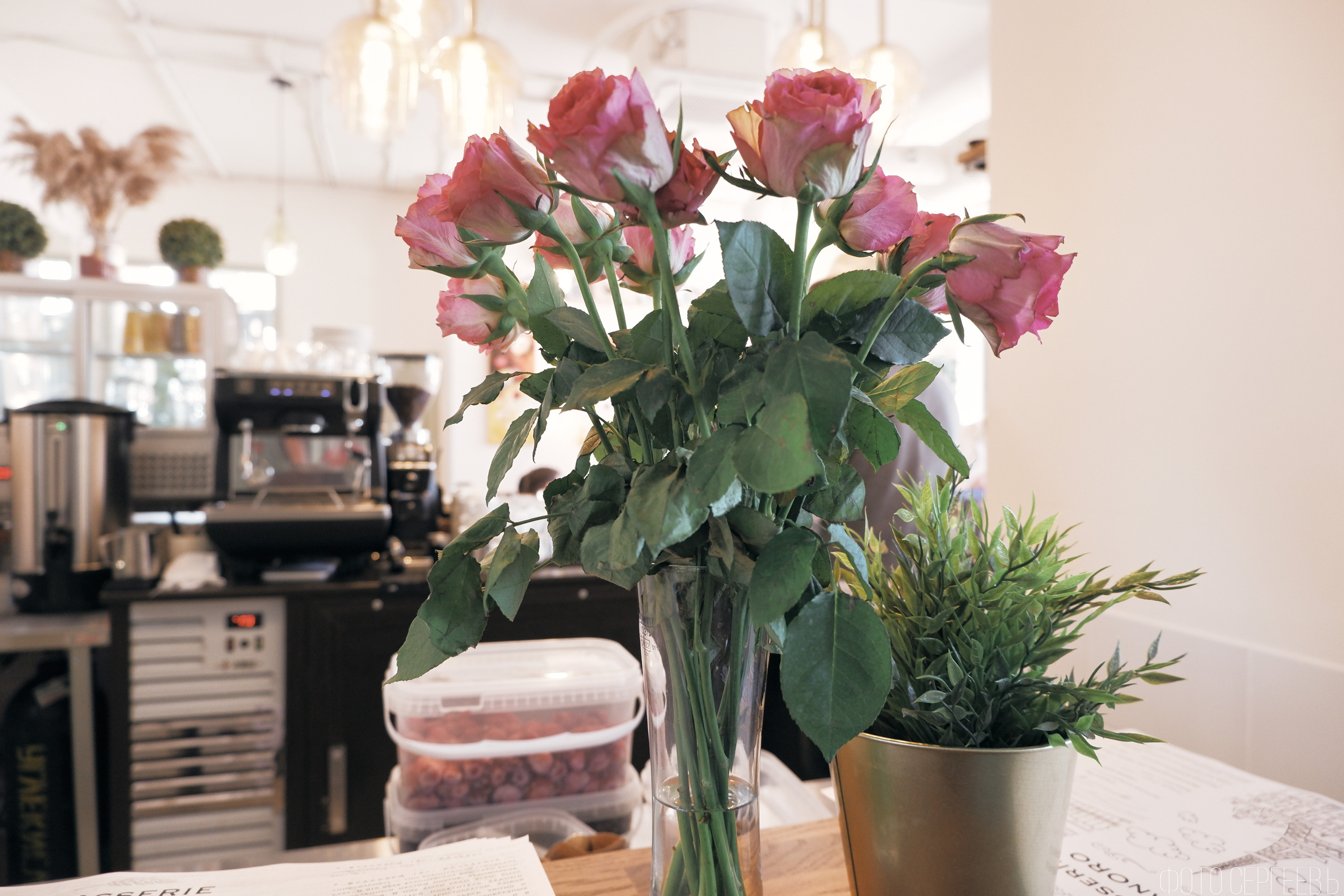 Кафе Ресторан Митино Отрадное Пятницкое шоссе Брассери GranORO. Fujifilm X-A5 XC15-45mm