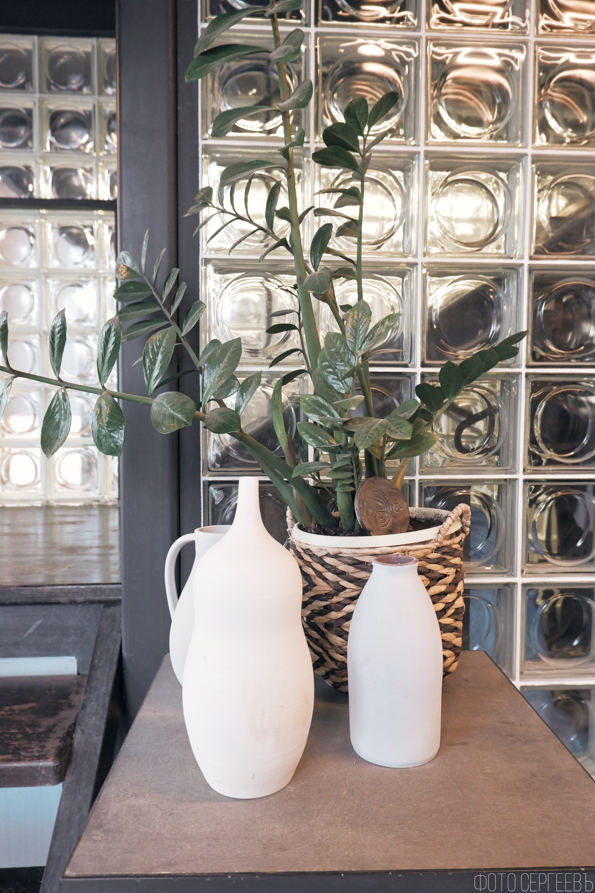 Дом искусства «Котинга». Фотографъ Сергѣевъ. Поймать мгновеніе