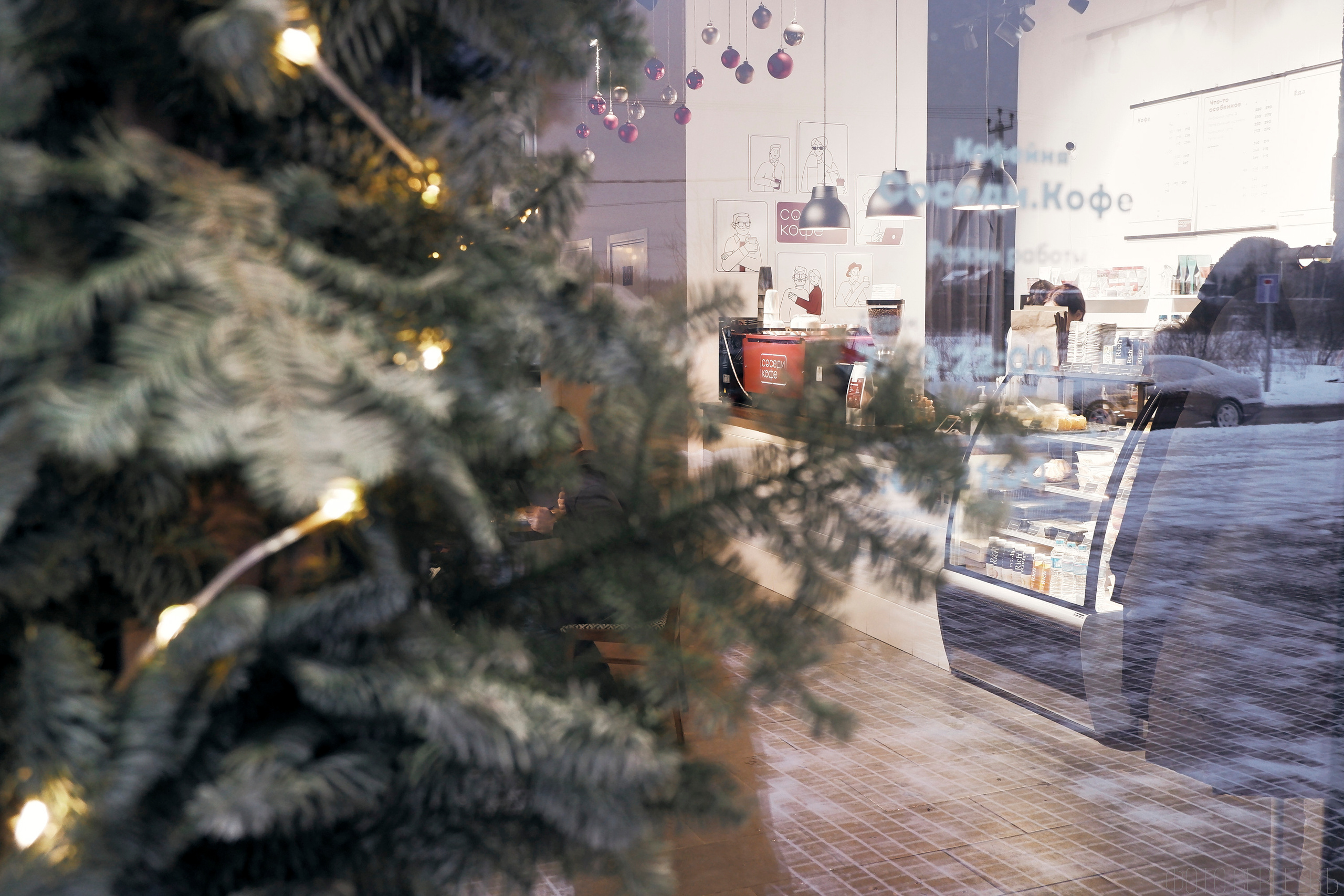 «Соседи Кофе». Микрогород в Лесу. Фотографъ Сергѣевъ. Поймать мгновеніе