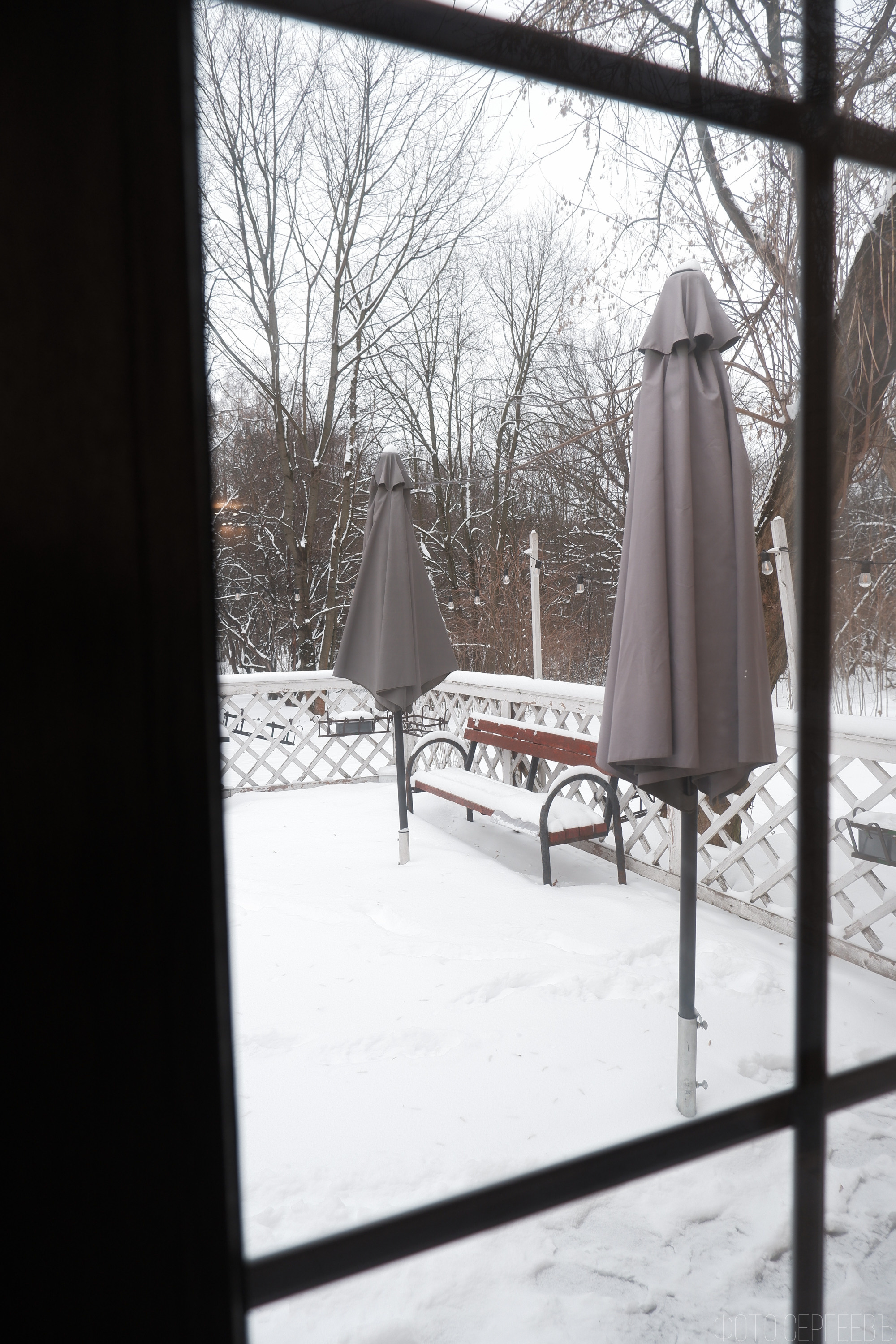 «Иду лесом». Кофе лофт в Братцево. Фотографъ Сергѣевъ. Поймать мгновеніе