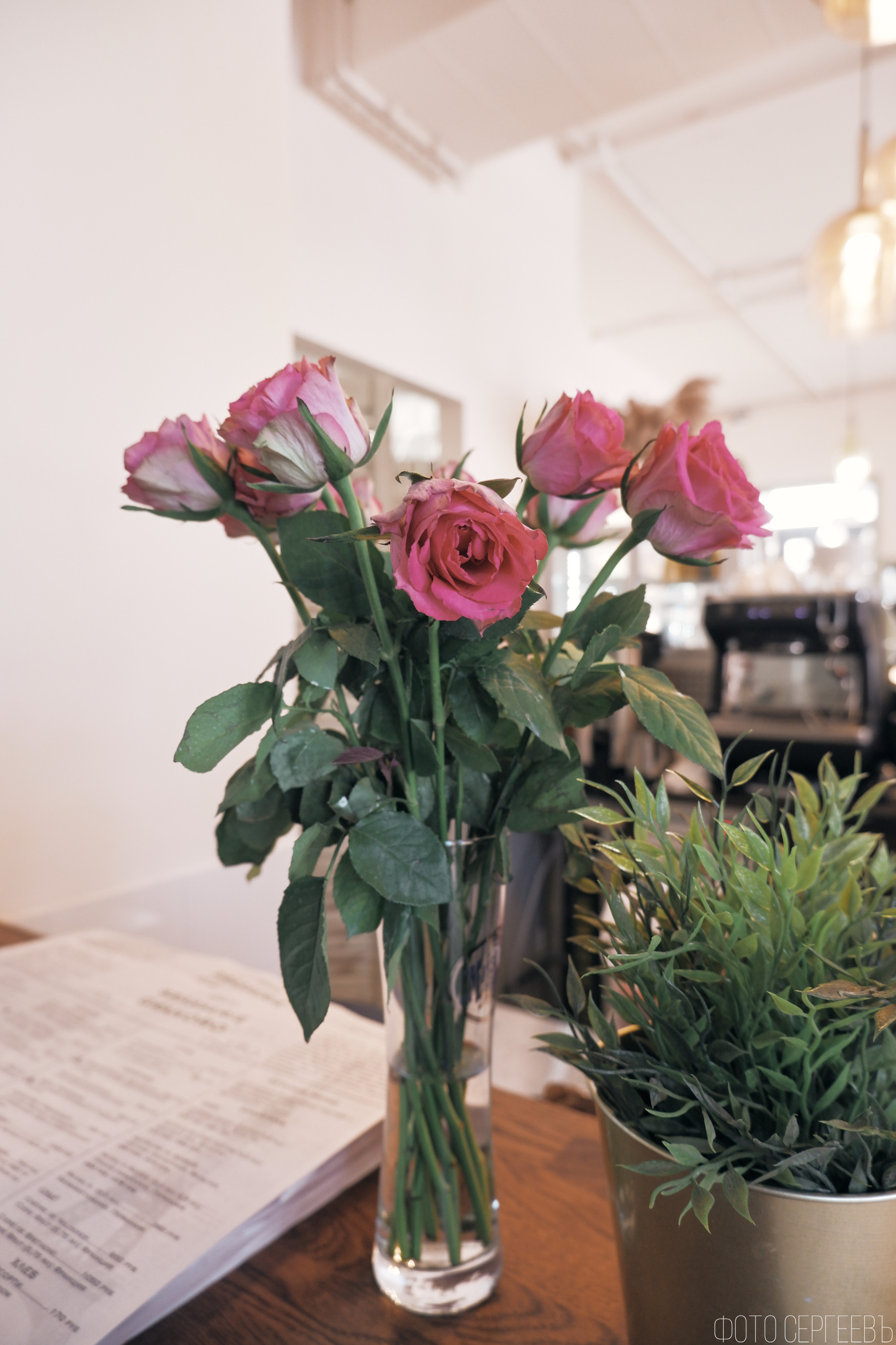 Кафе Ресторан Митино Отрадное Пятницкое шоссе Брассери GranORO. Fujifilm X-A5 XC15-45mm