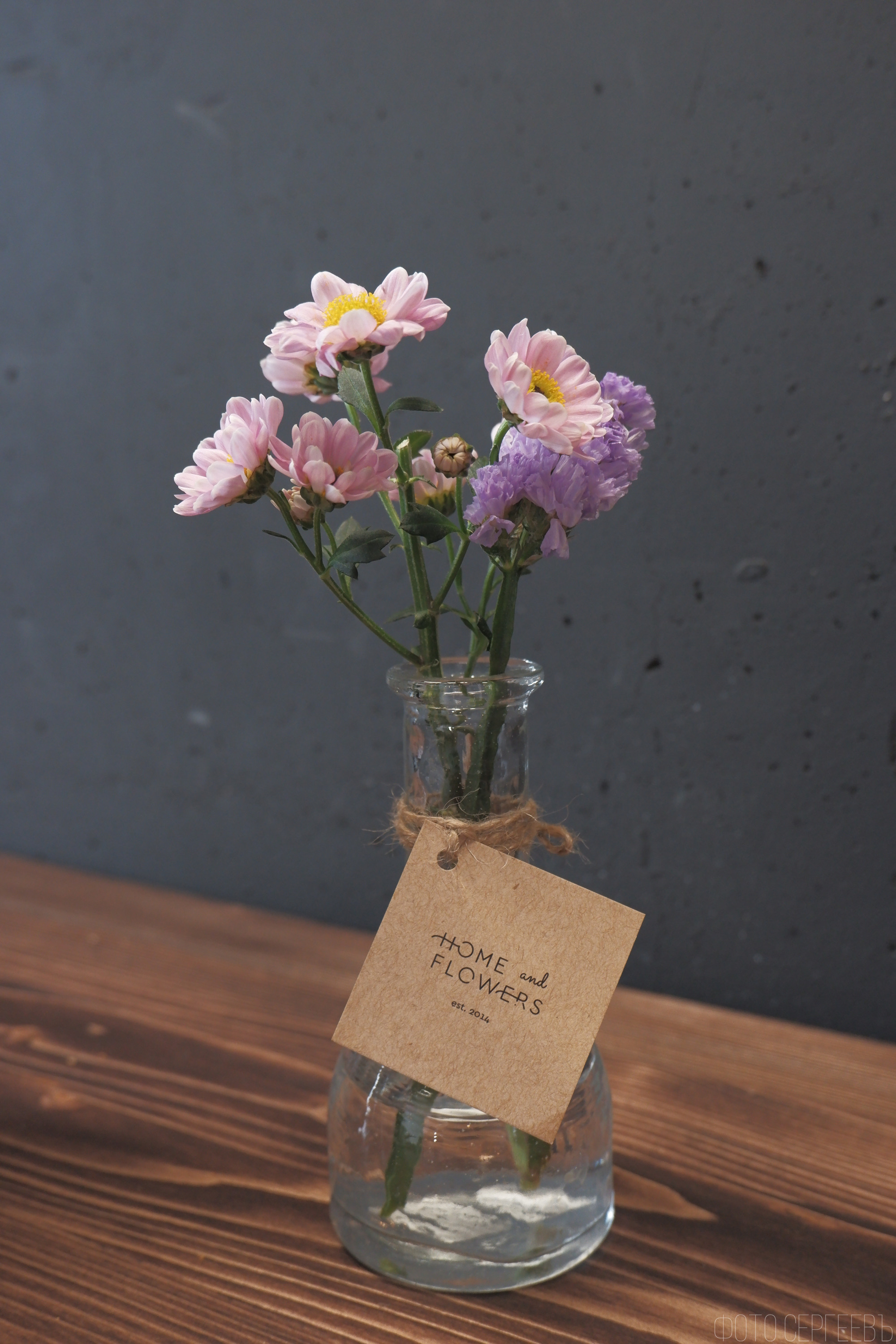 «Соседи Кофе». Микрогород в Лесу. Фотографъ Сергѣевъ. Поймать мгновеніе