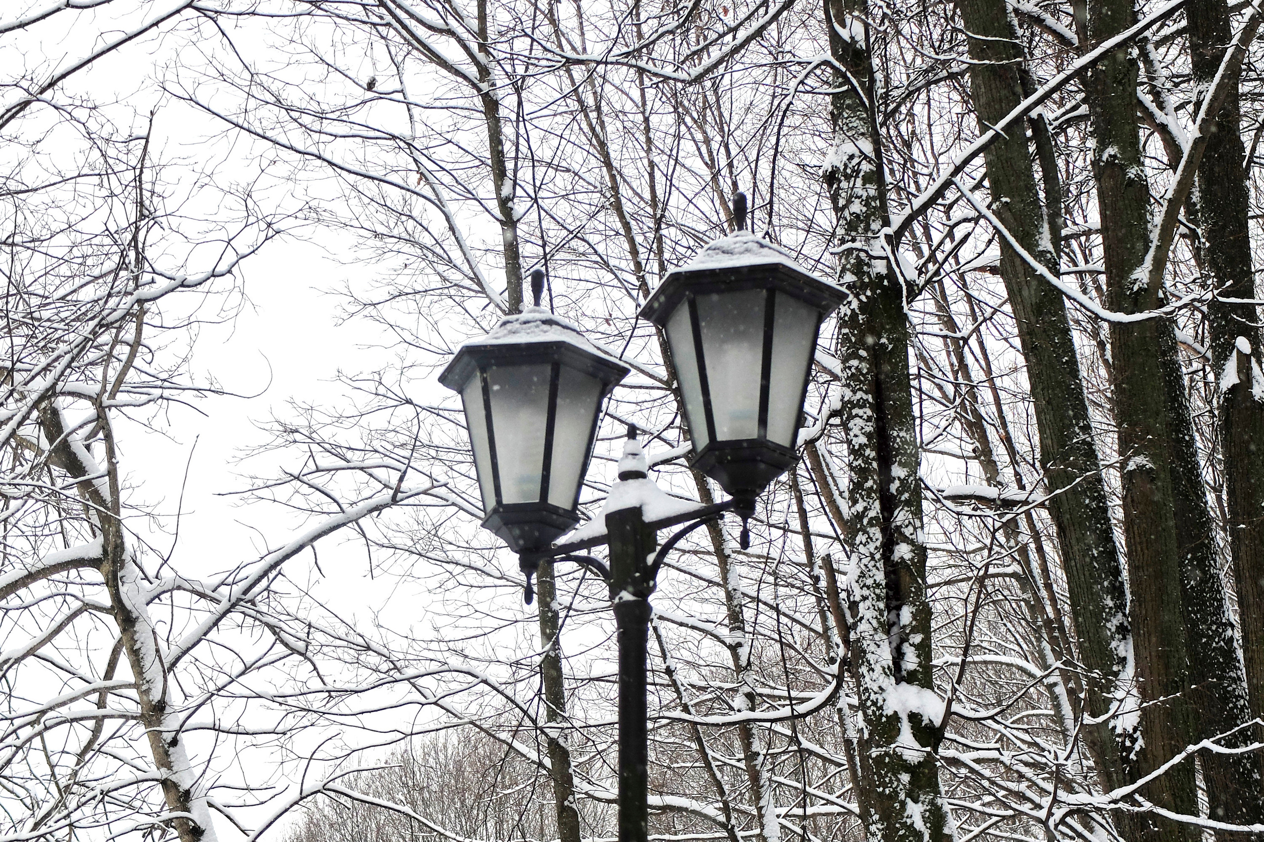 Кафе Иду лесом Братцево Fujifilm X-20