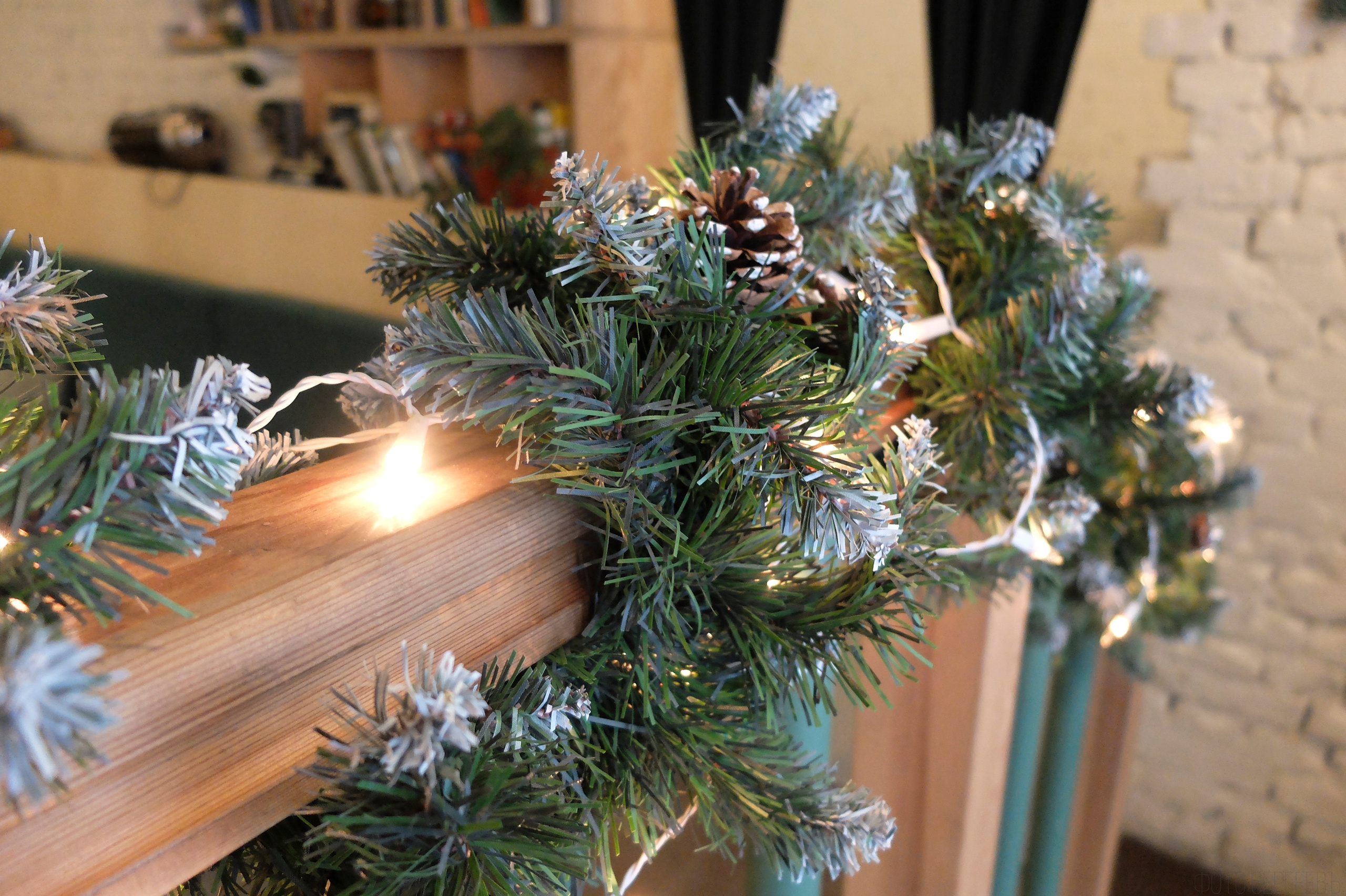 Кафе Иду лесом Братцево Fujifilm X-20